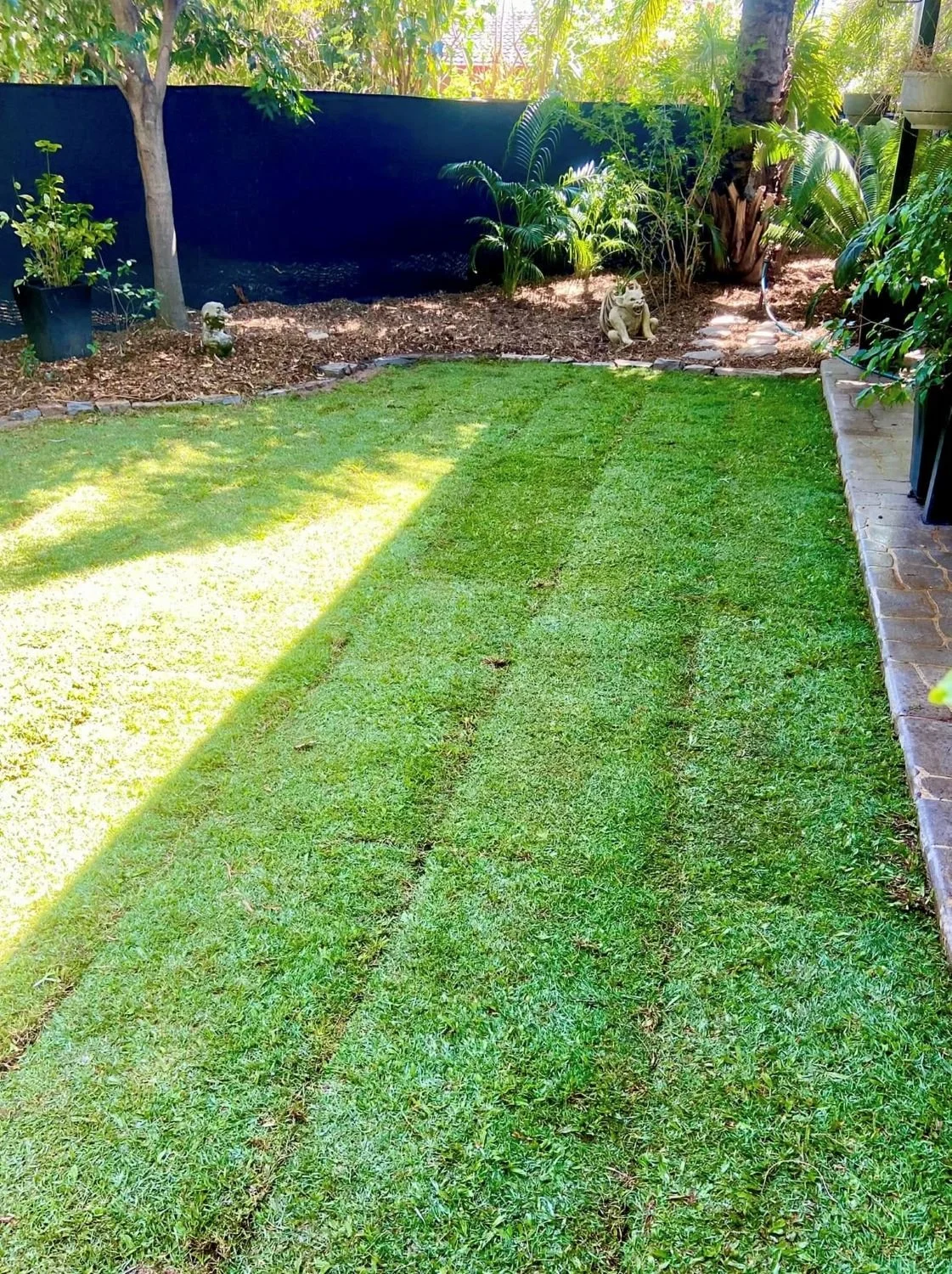 Darwin, Palmerston, Humpty Doo mowing, hedging, pruning, garden clean-up