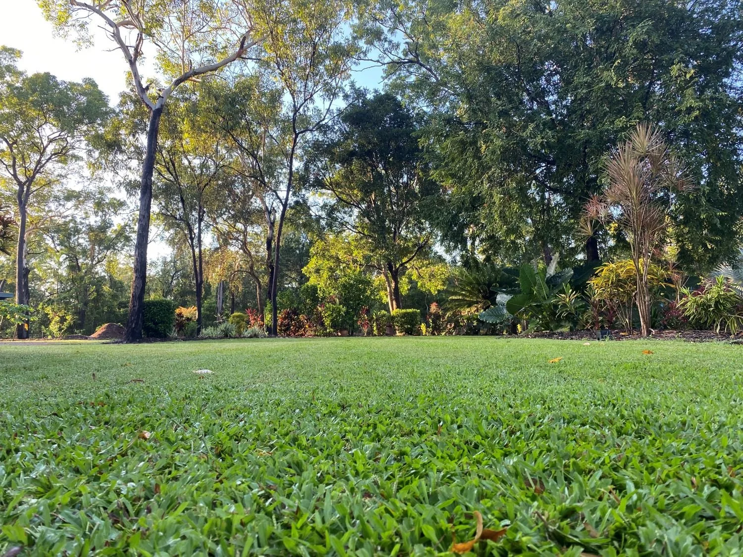 Commercial yard grounds maintenance Yarrawonga, Winnellie, East Arm, Darwin