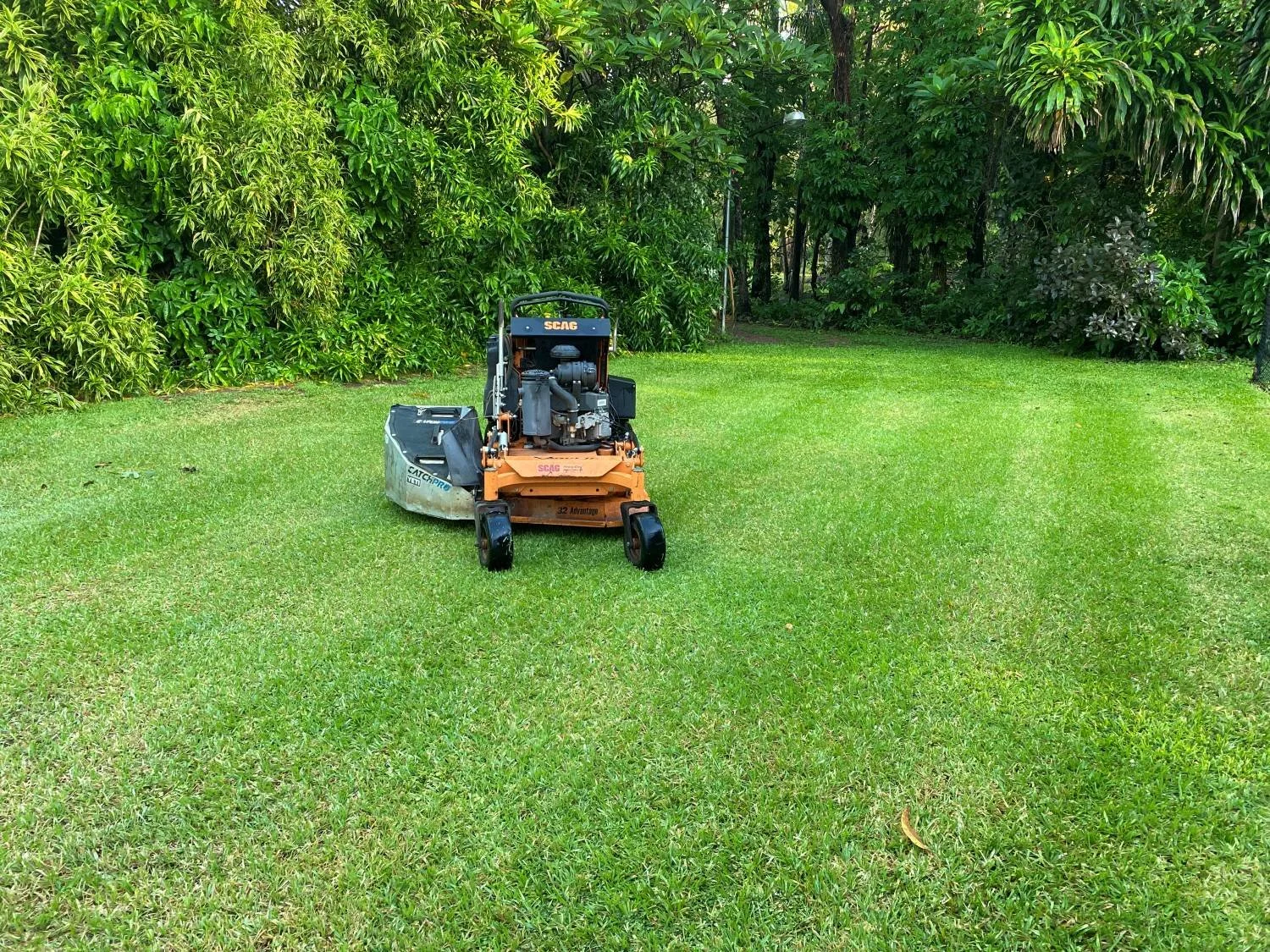 Turf management selective herbicide weeds Darwin, Palmerston, Humpty Doo