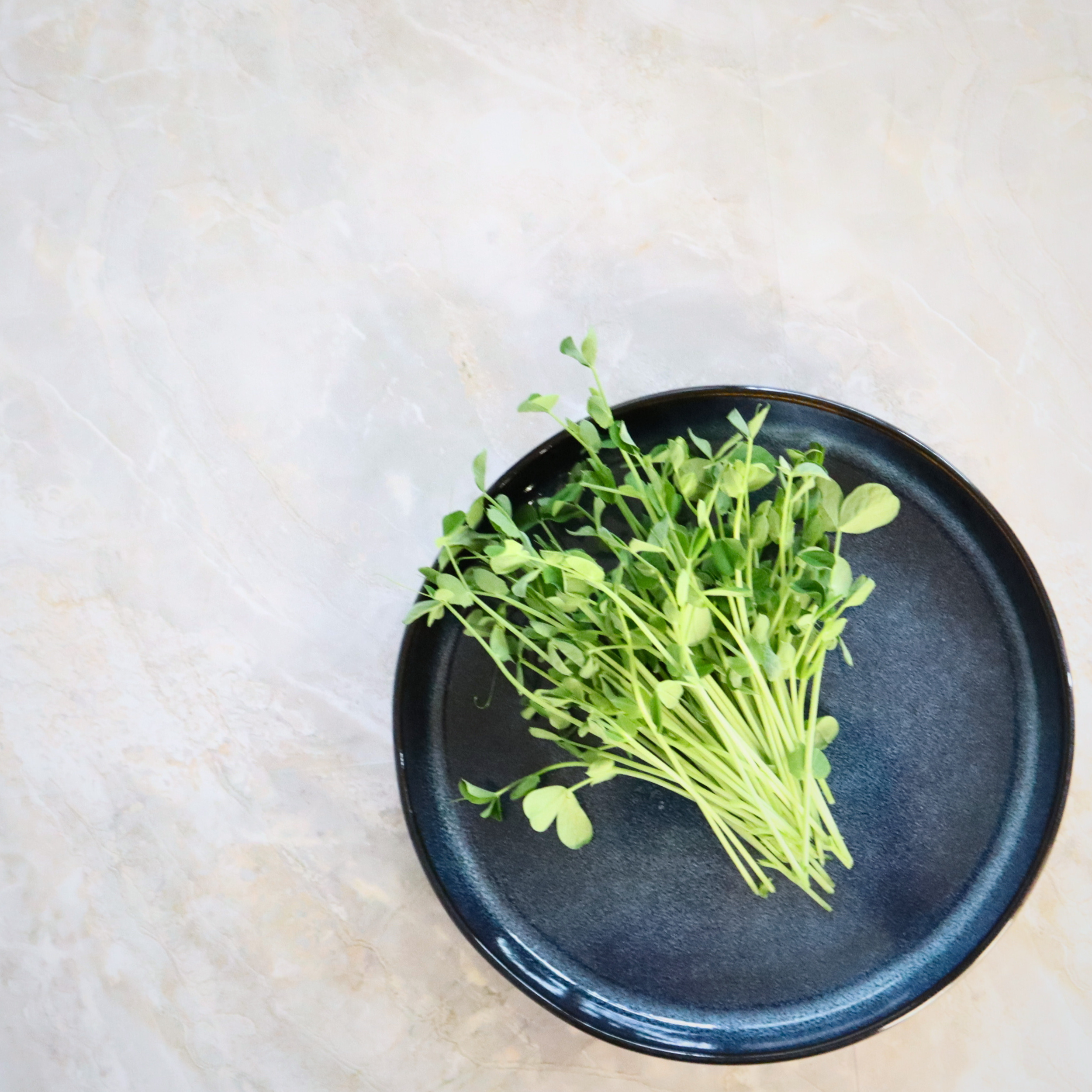 003_Pea.png
