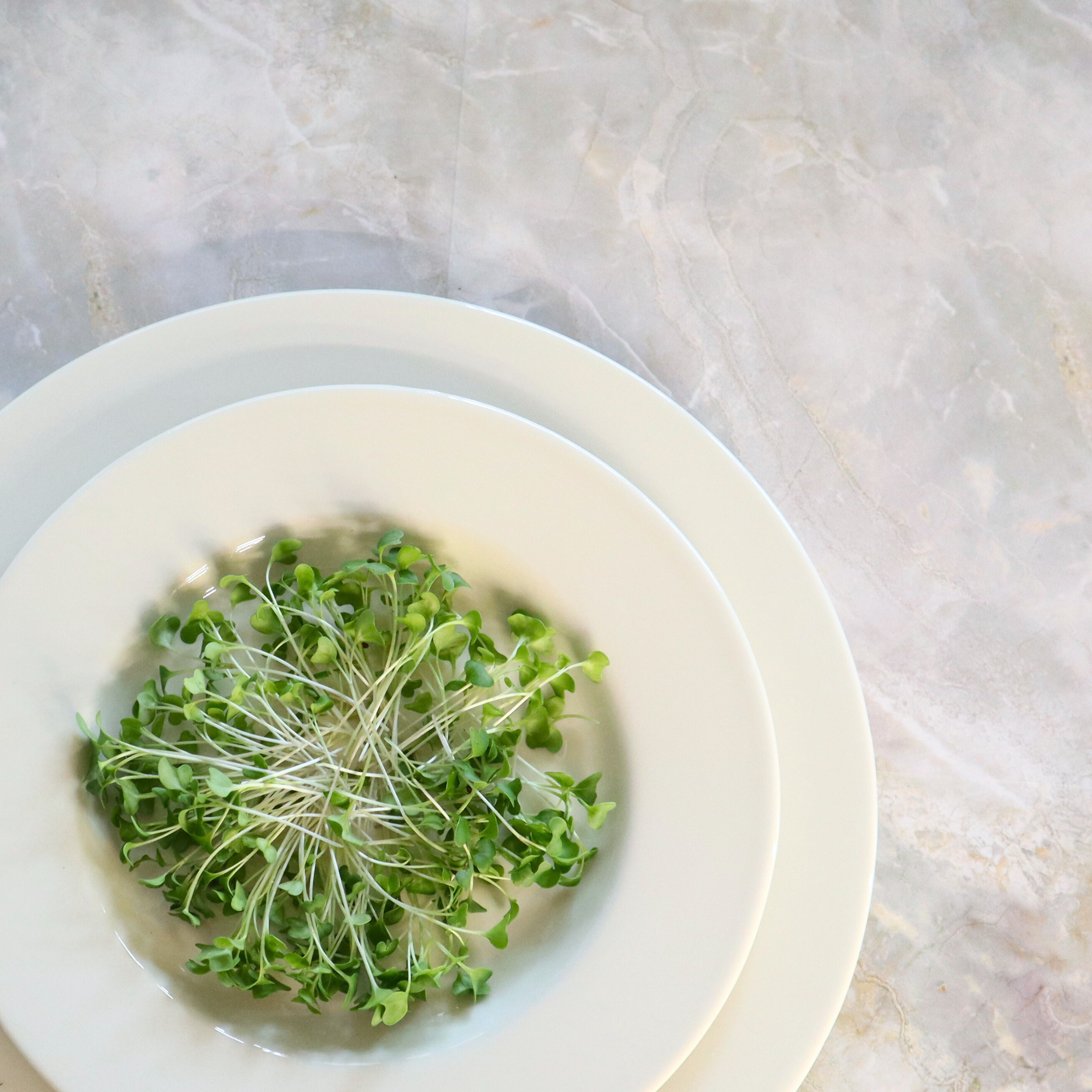 001_Broccoli.png