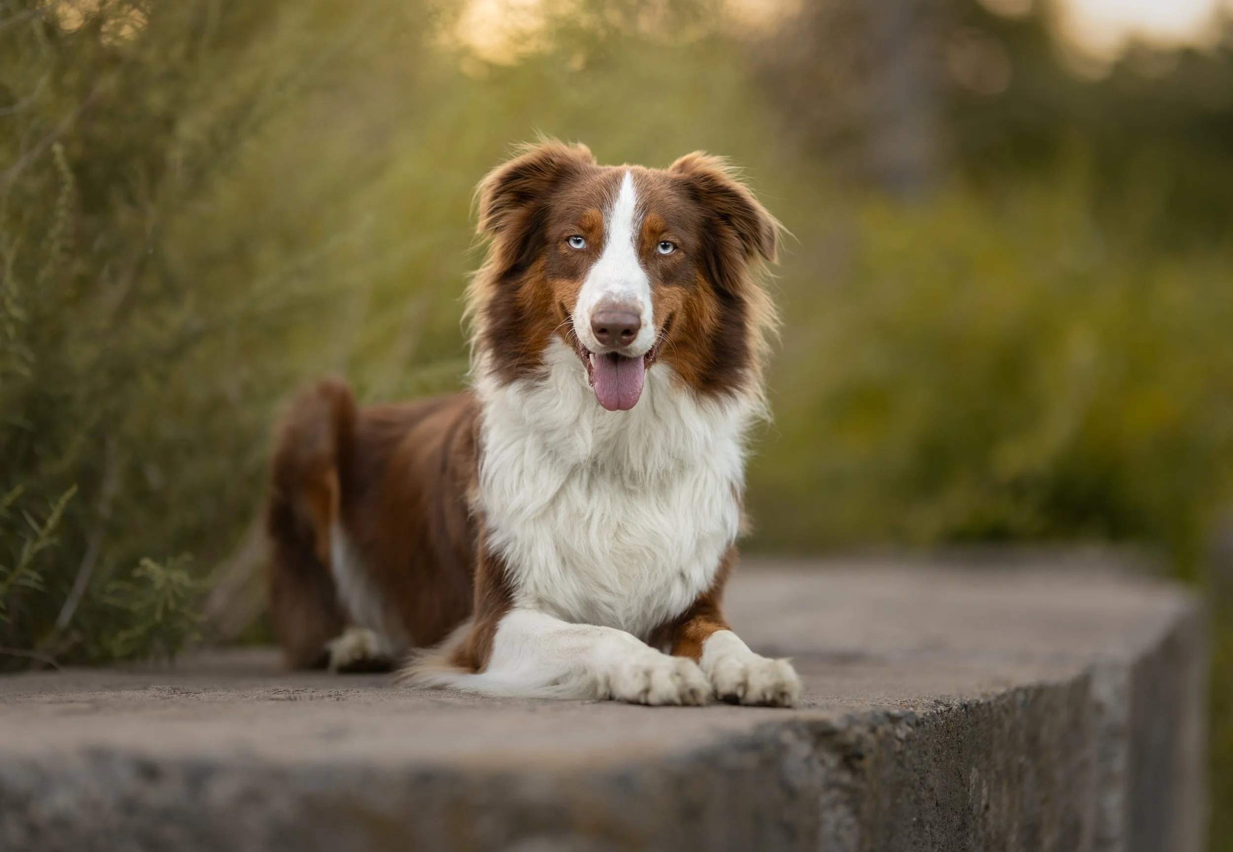 luca9-18.jpg