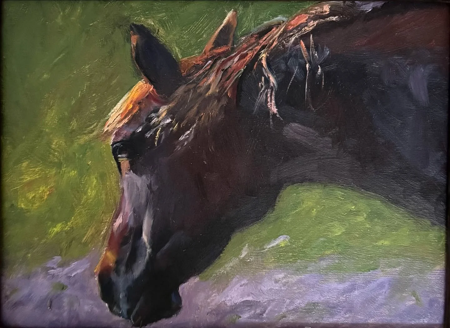 We are slowing getting our farm shop @honeytreehillfarm set up and I hung &ldquo;Missy&rdquo; on a wall with other paintings.  A few days later, I said to my daughter that I&rsquo;d have a hard time seeing this painting sell.  But it sold last night 