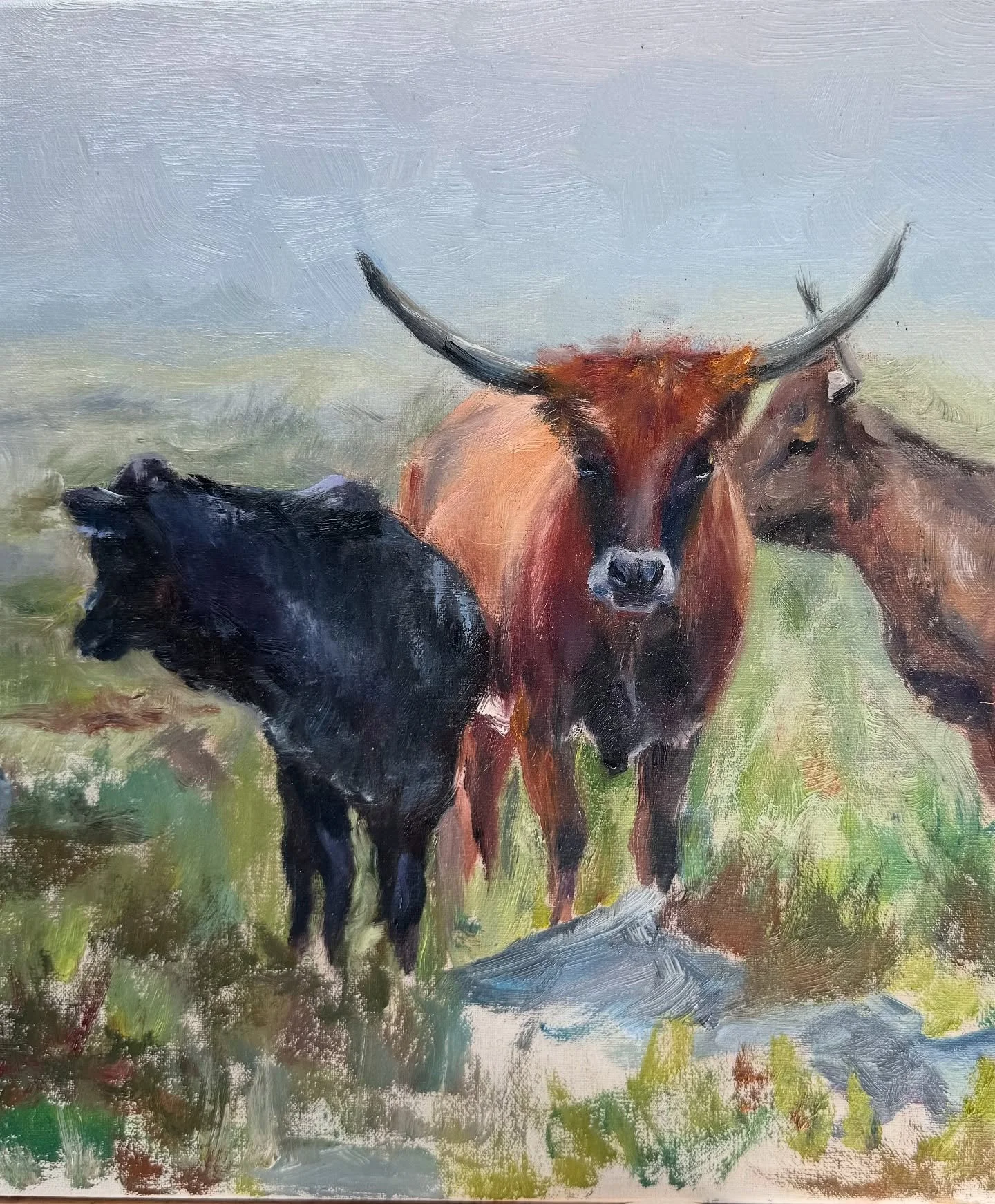 Wip&hellip;
#cowpainting #oilpainting #artist #painting #art #cow #fineart #paintings #longhorn