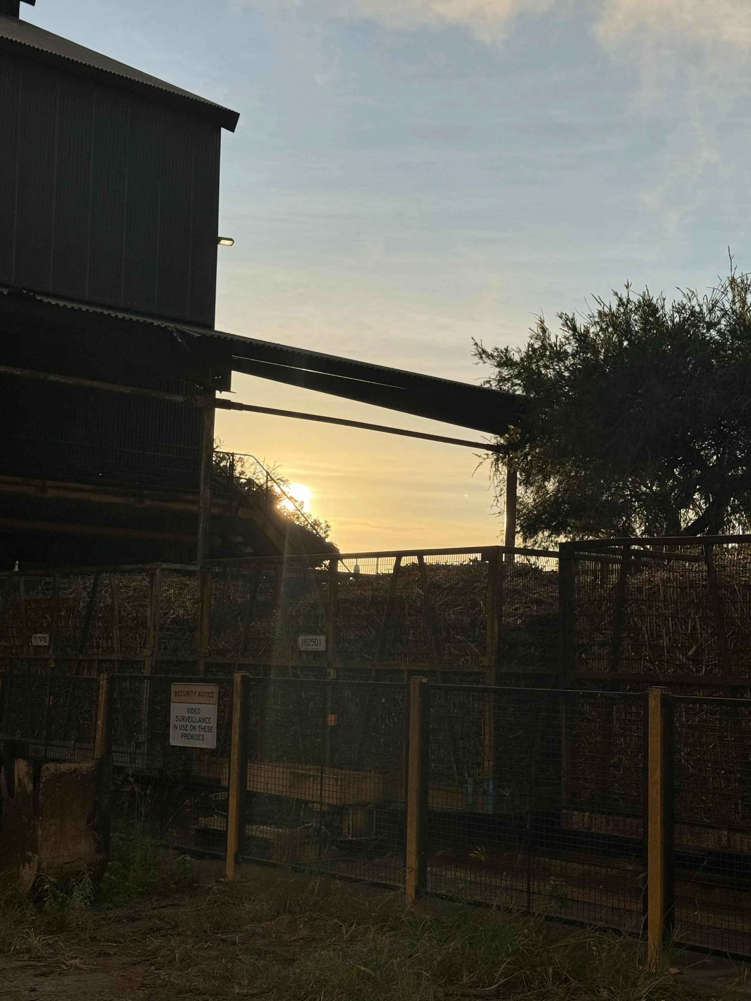 Mackay Sugar Cyber Security Incident Update 2