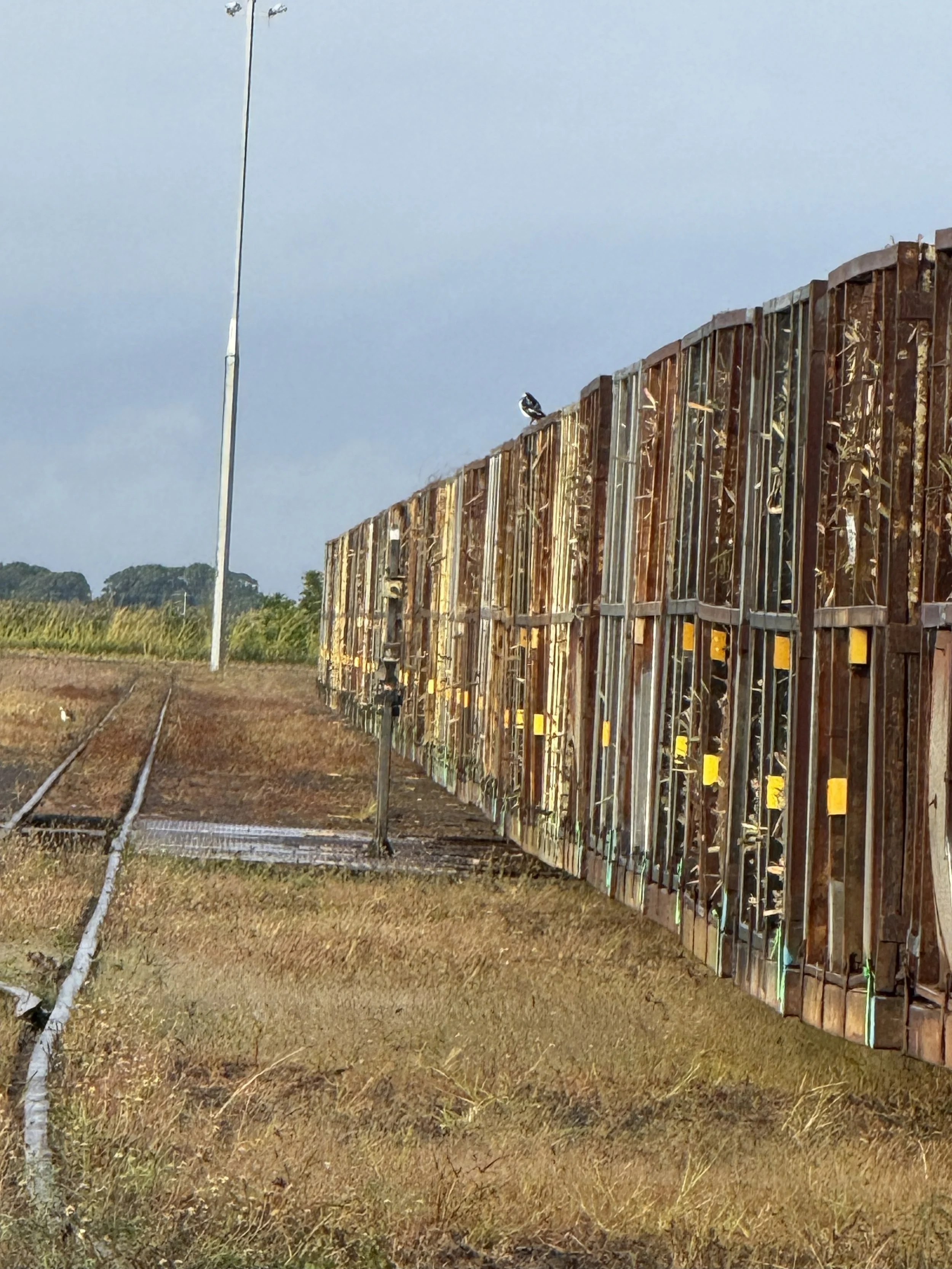 Mackay Sugar Cyber Security Incident Update 3