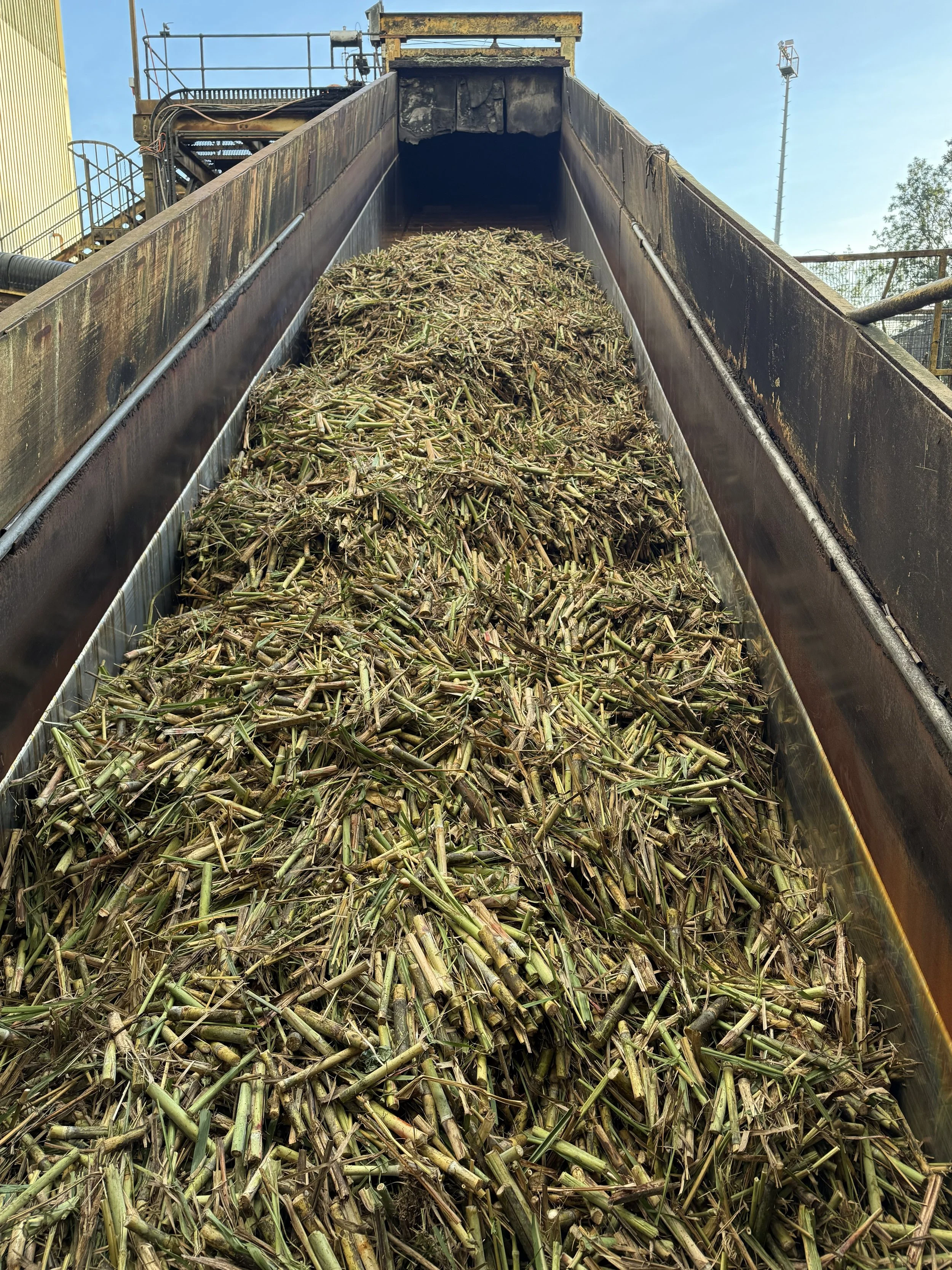 Mackay Sugar Cyber Security Incident Update 4