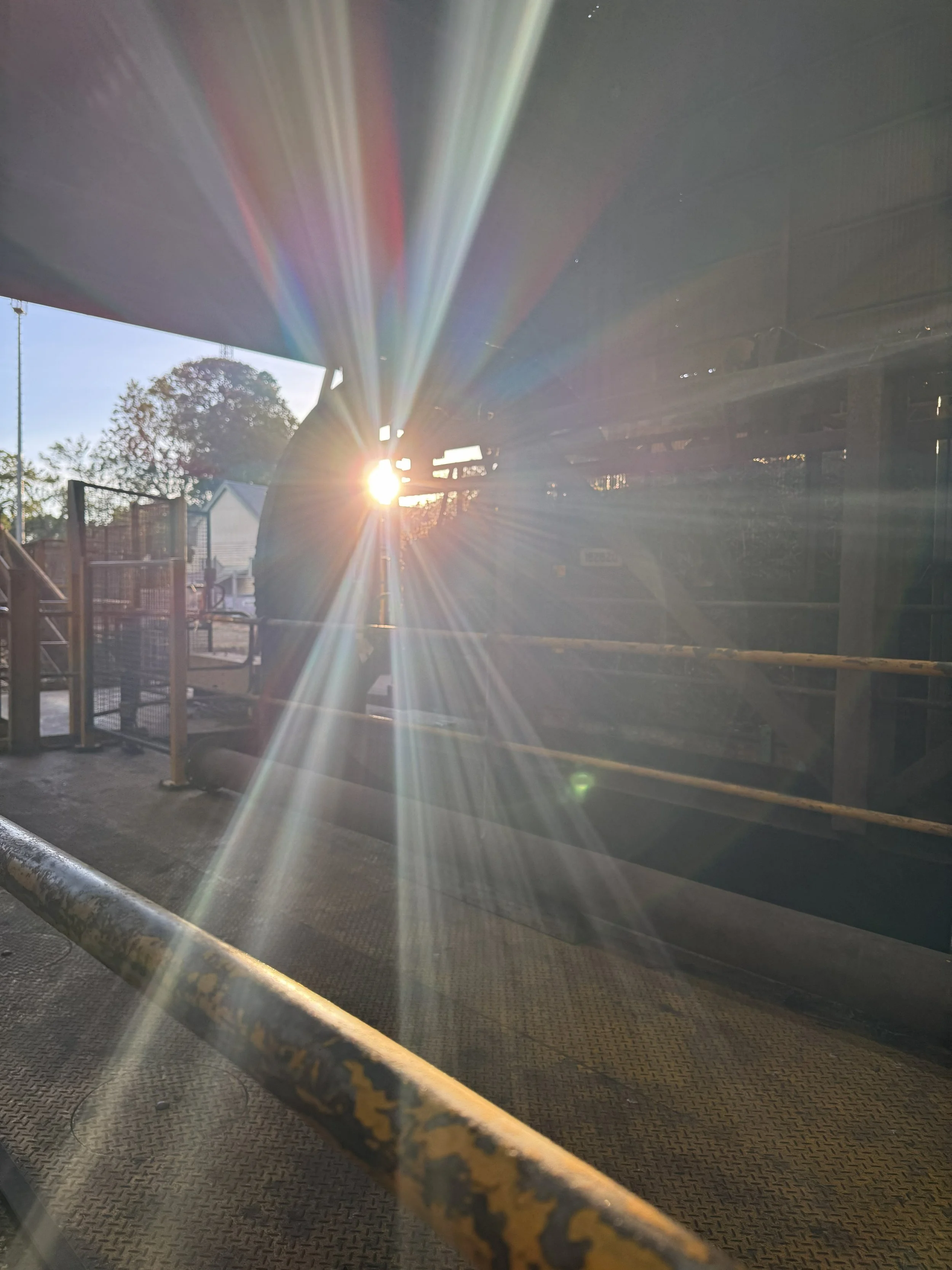 Mackay Sugar Cyber Security Incident Update 5