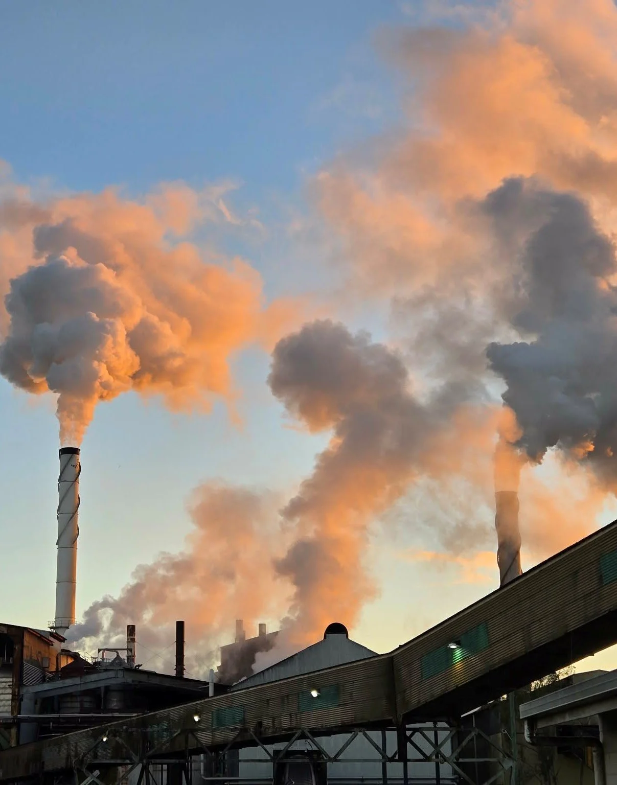 Mackay Sugar Cyber Security Incident Update 6