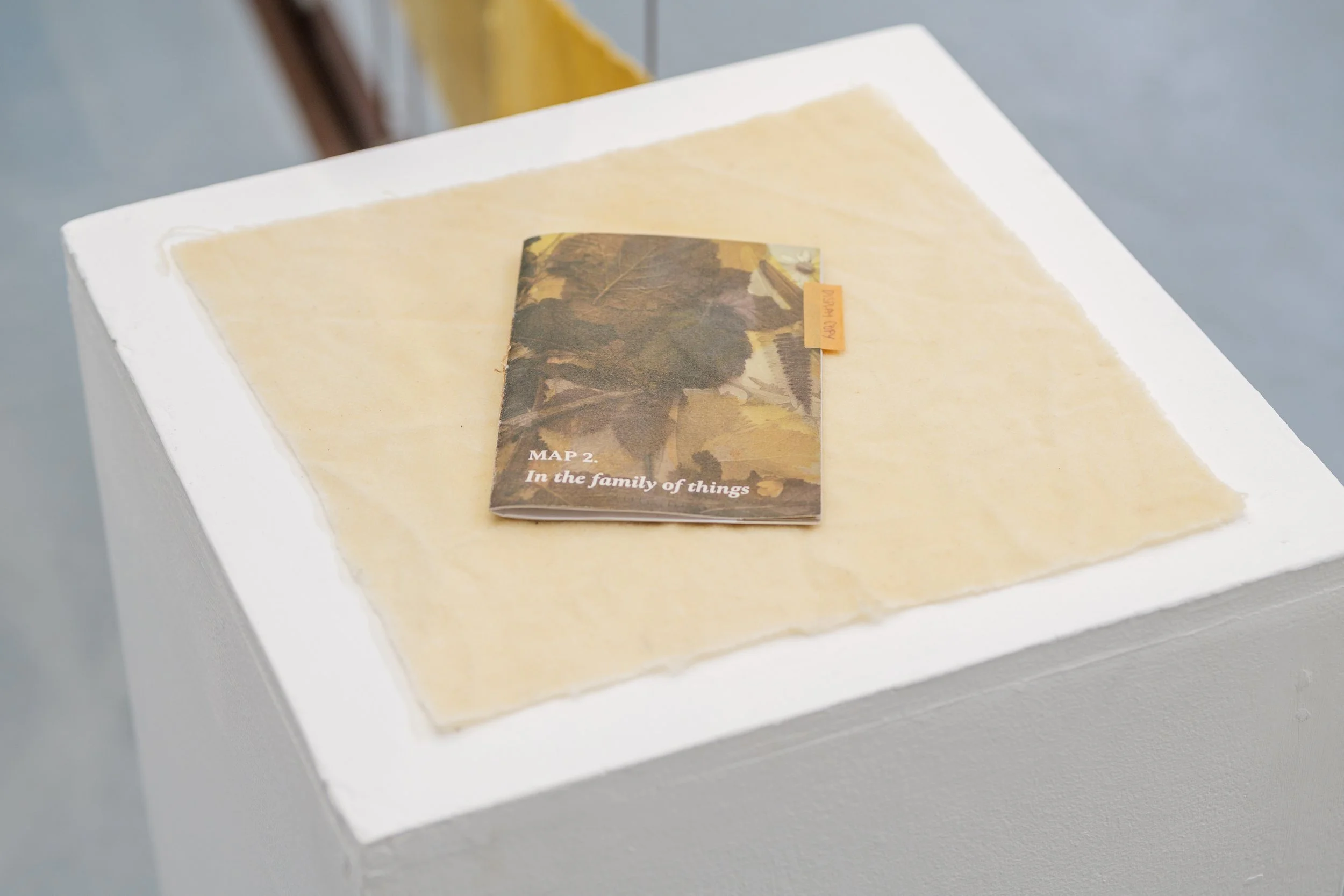 BCA_Future Artifacts-42.jpg