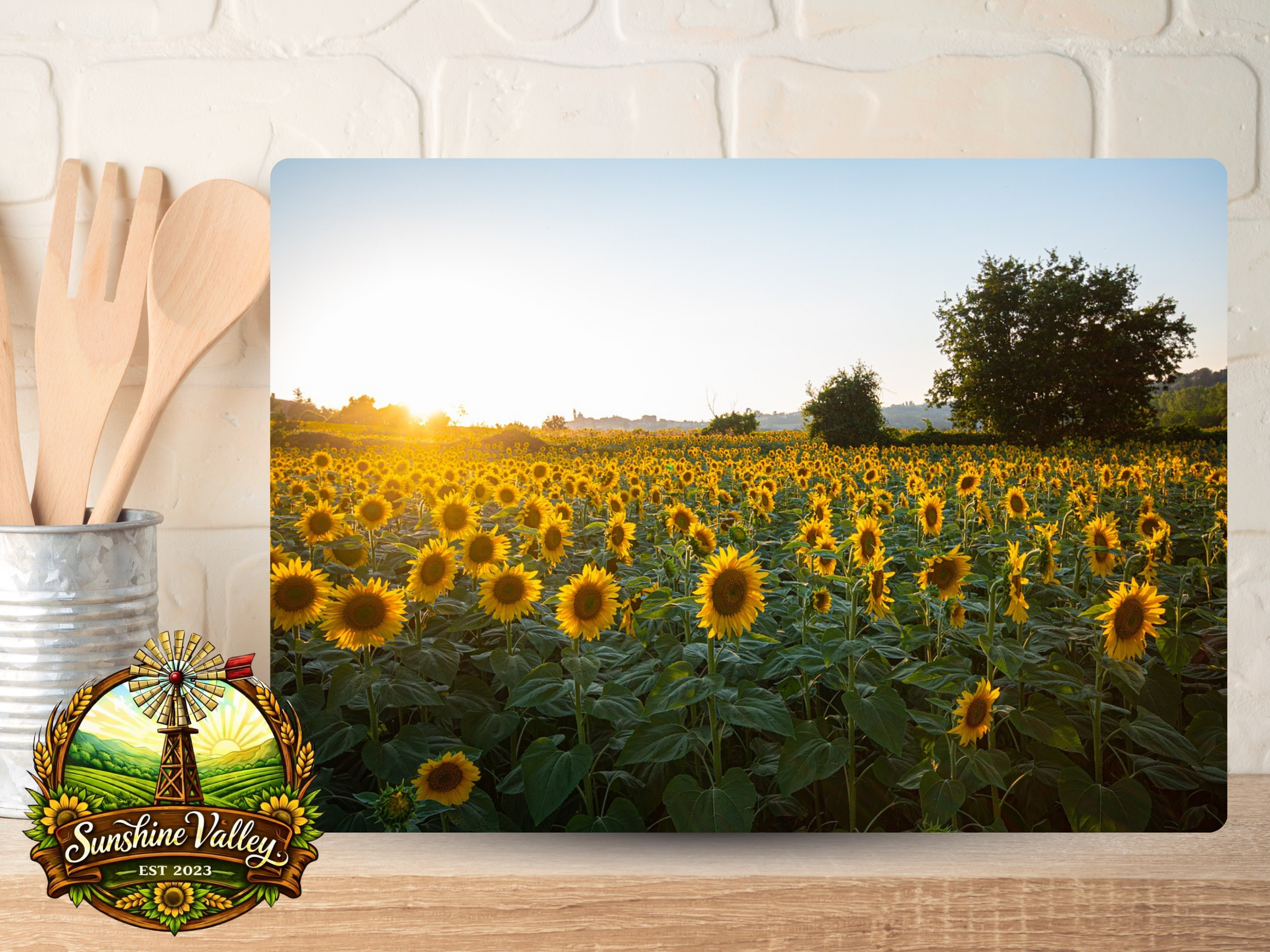 Wide Open Sunflower Field