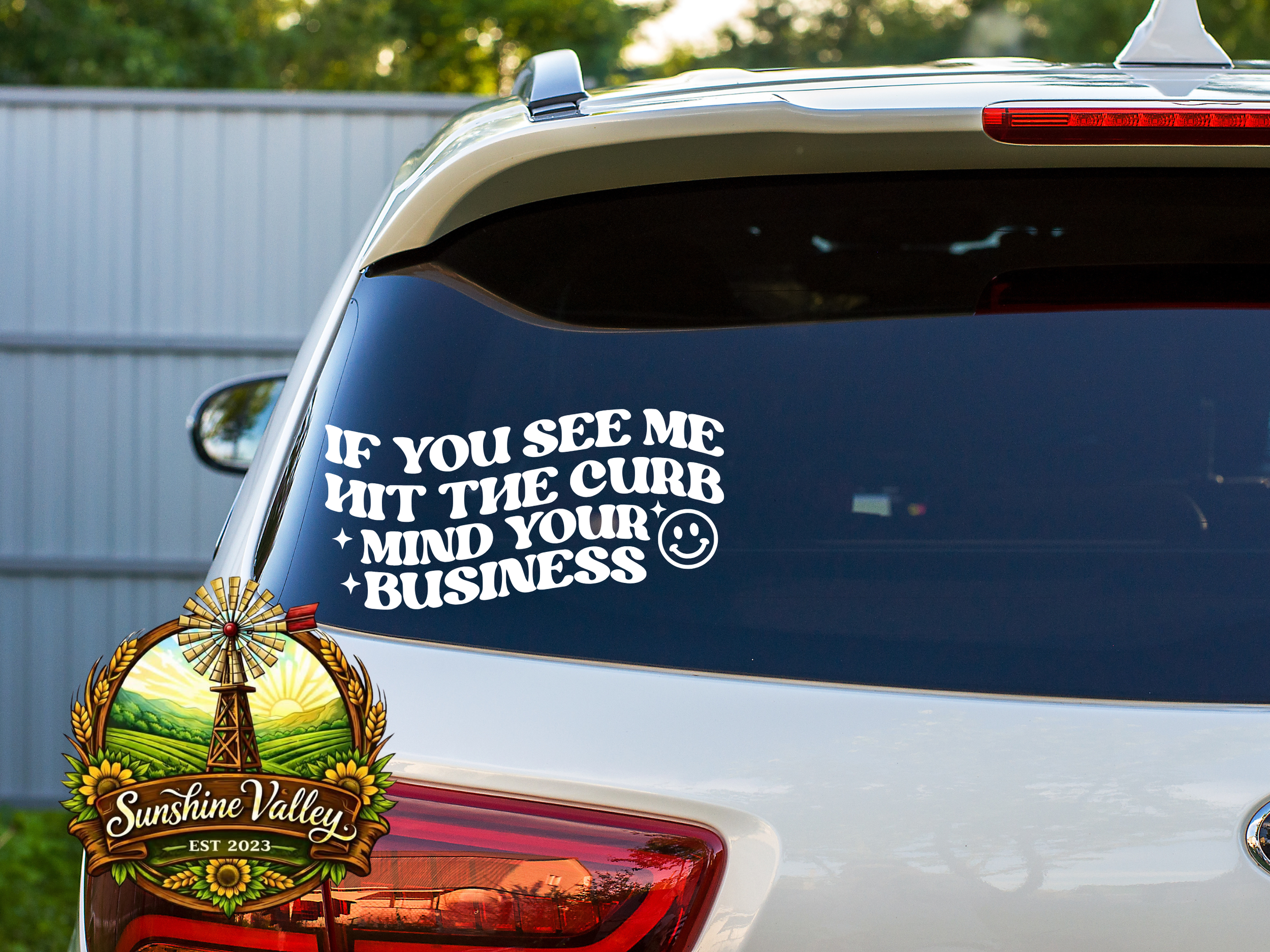 If You See Me Hit The Curb..