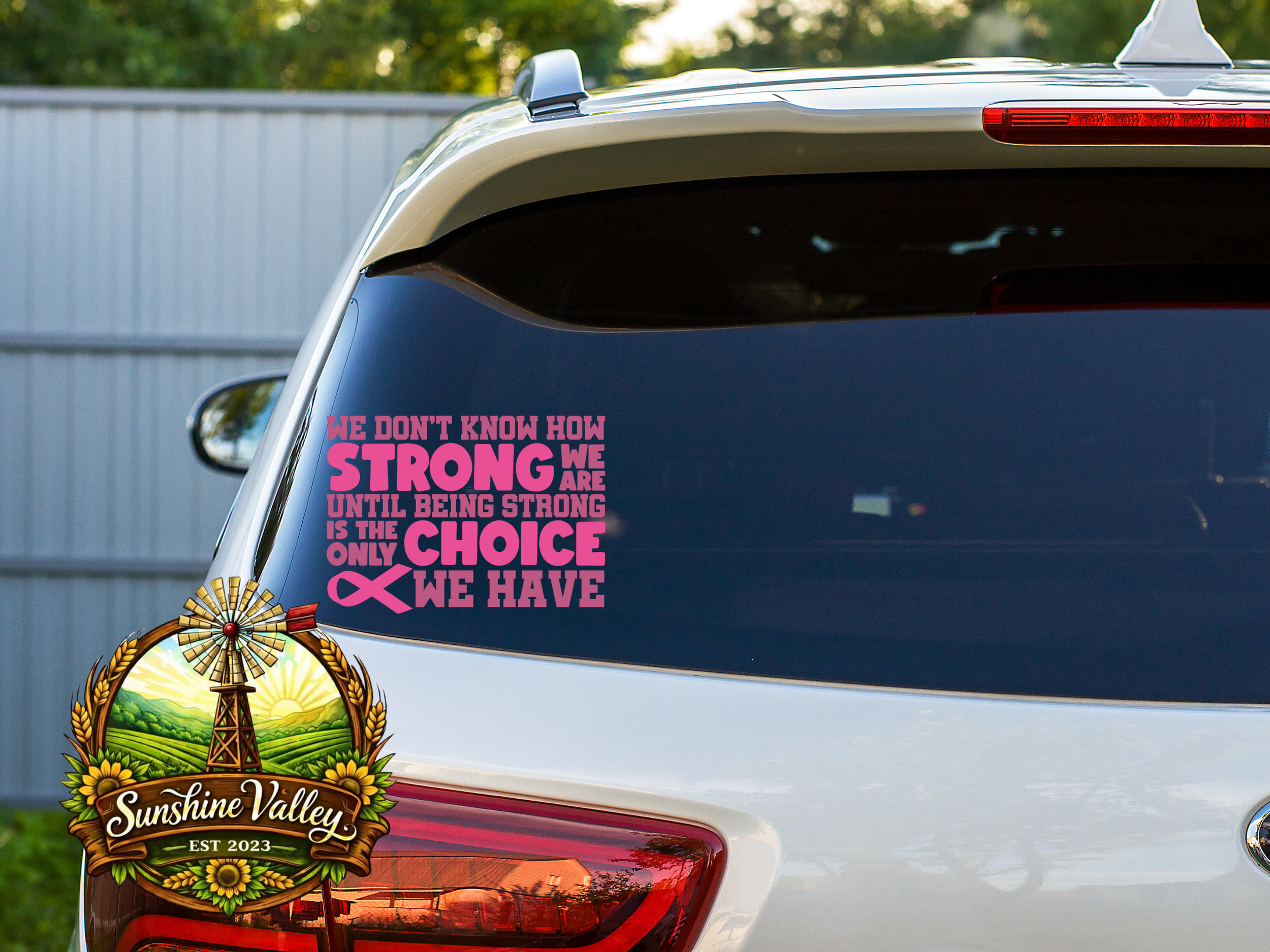 We Don't Know How Strong We Are .. 3