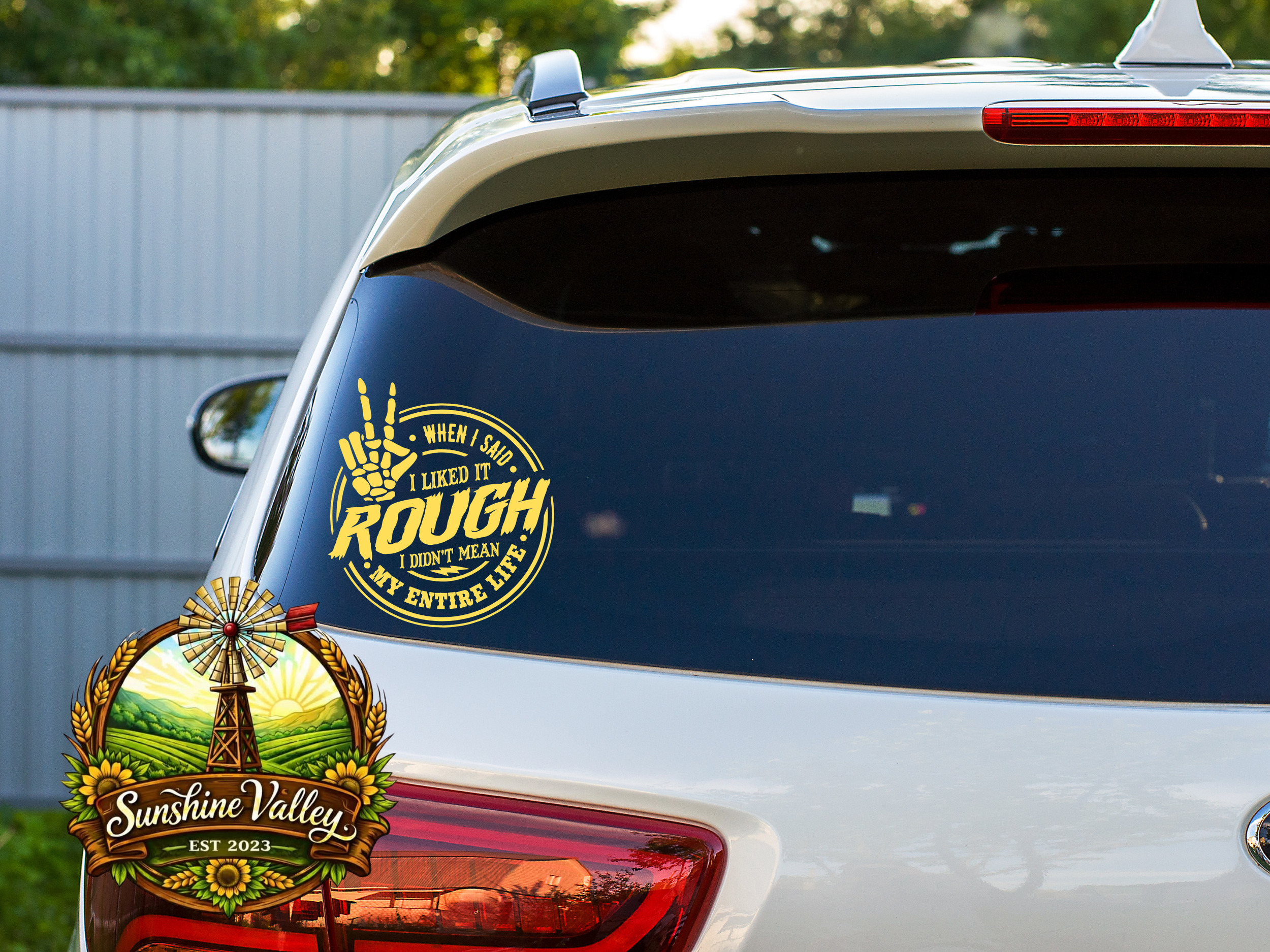 When I Said I Like It Rough