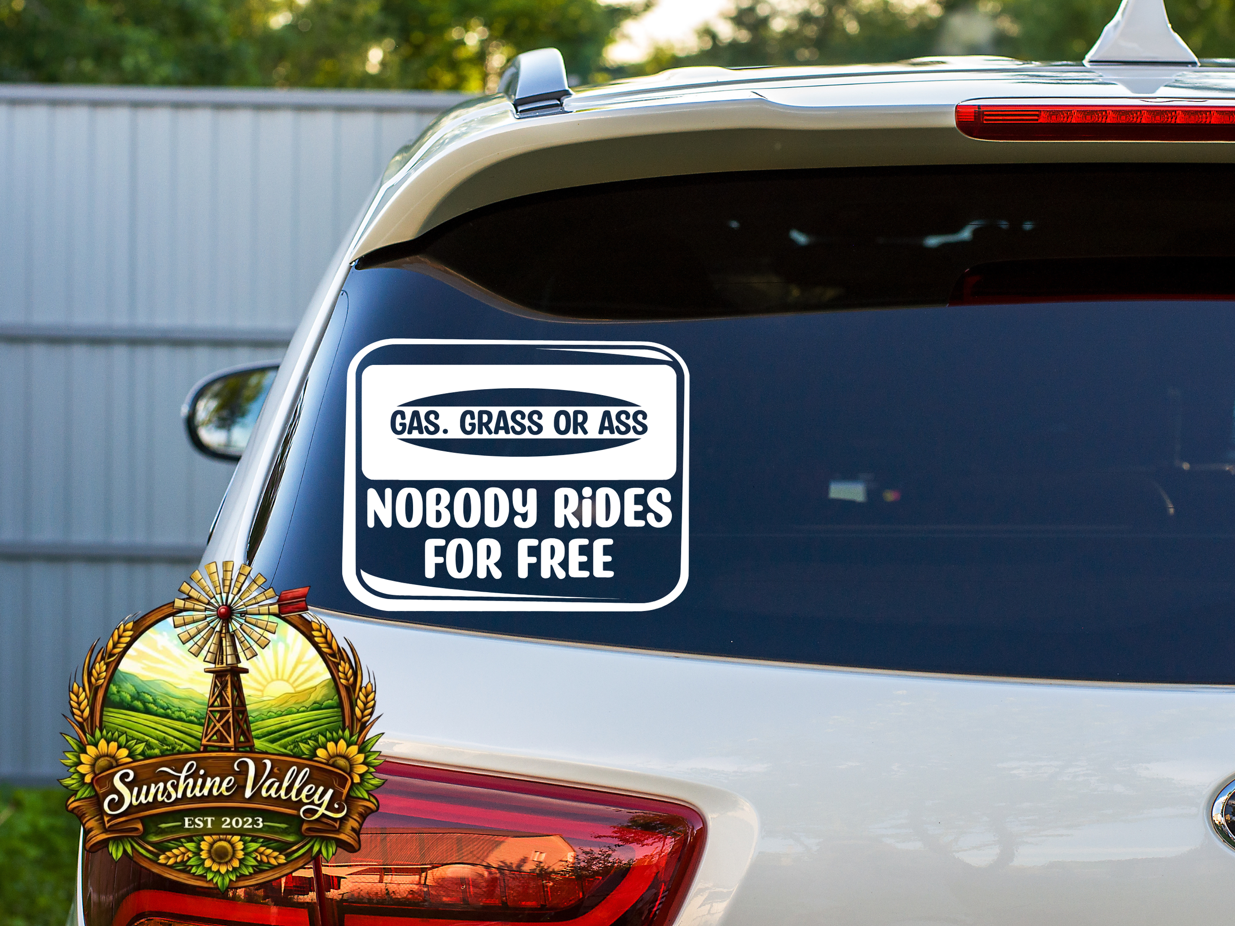 Nobody Rides For Free