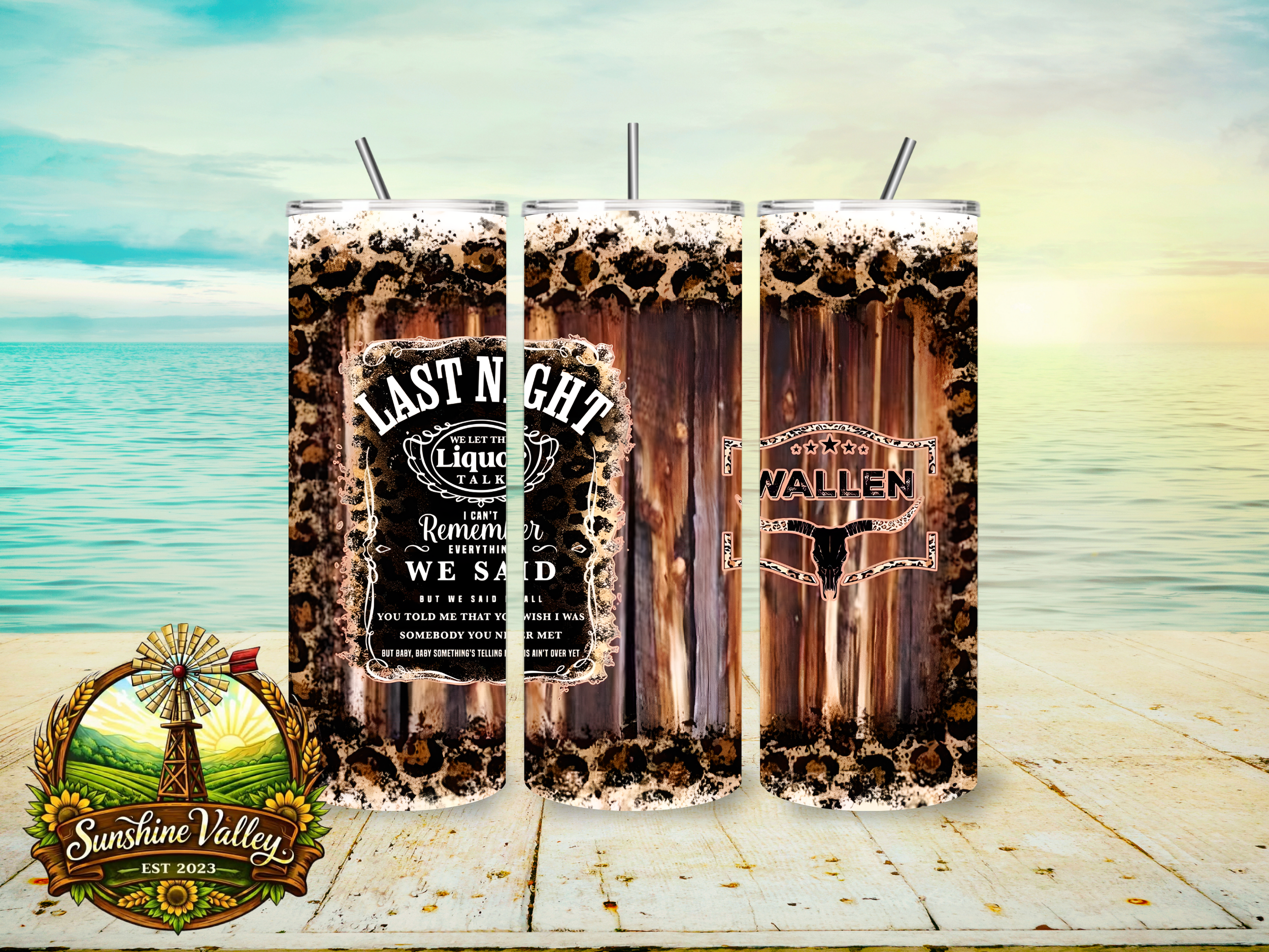 Last Night We Let The Liquor Talk