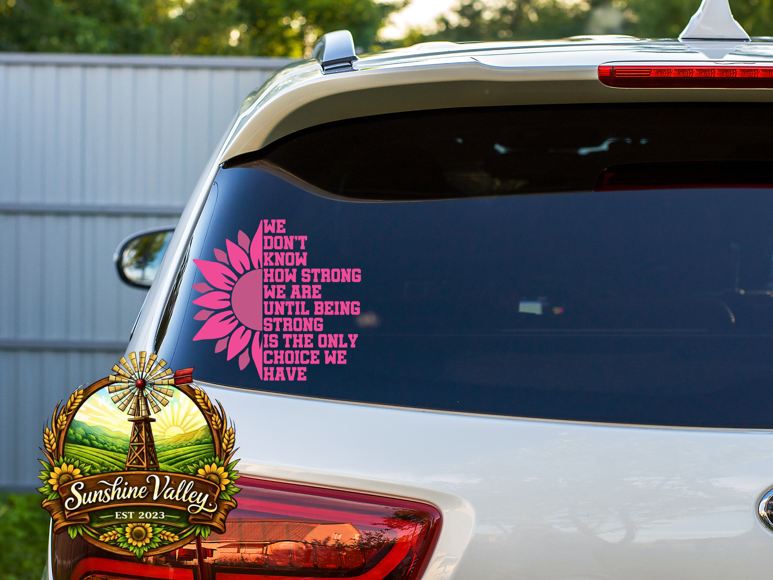 We Don't Know How Strong We Are.. 1