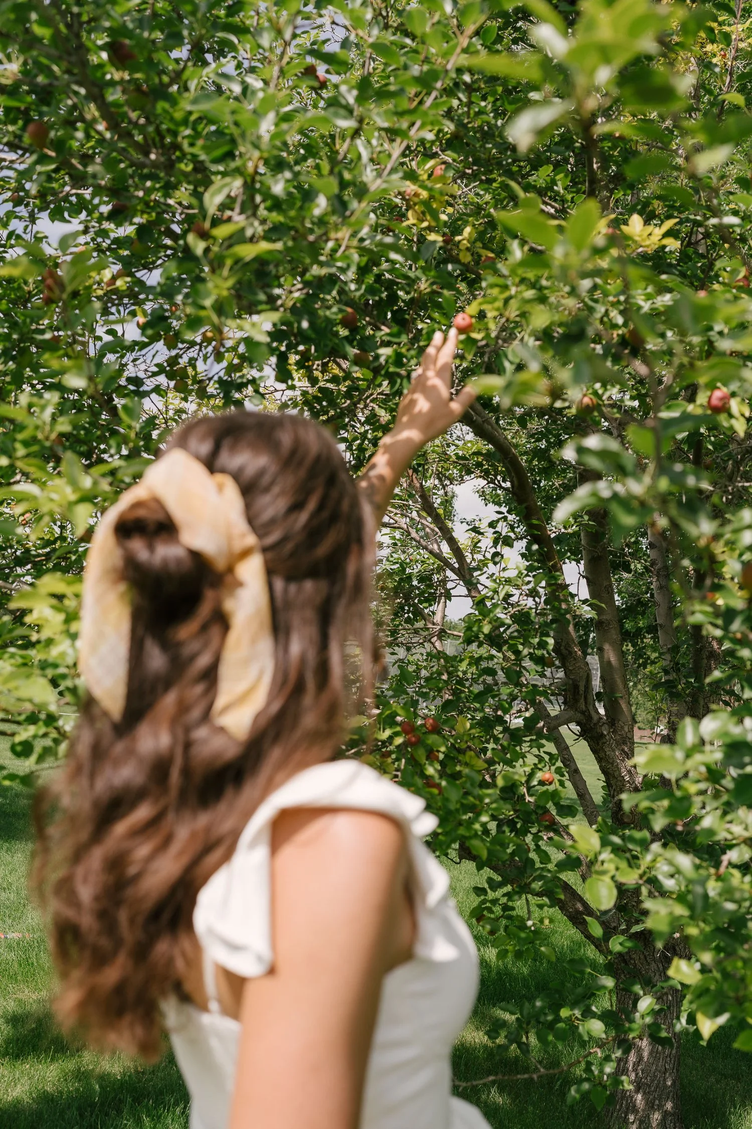 What Photography Should You Use on Your Website? A Guide to Finding the Perfect Fit for Your Brand