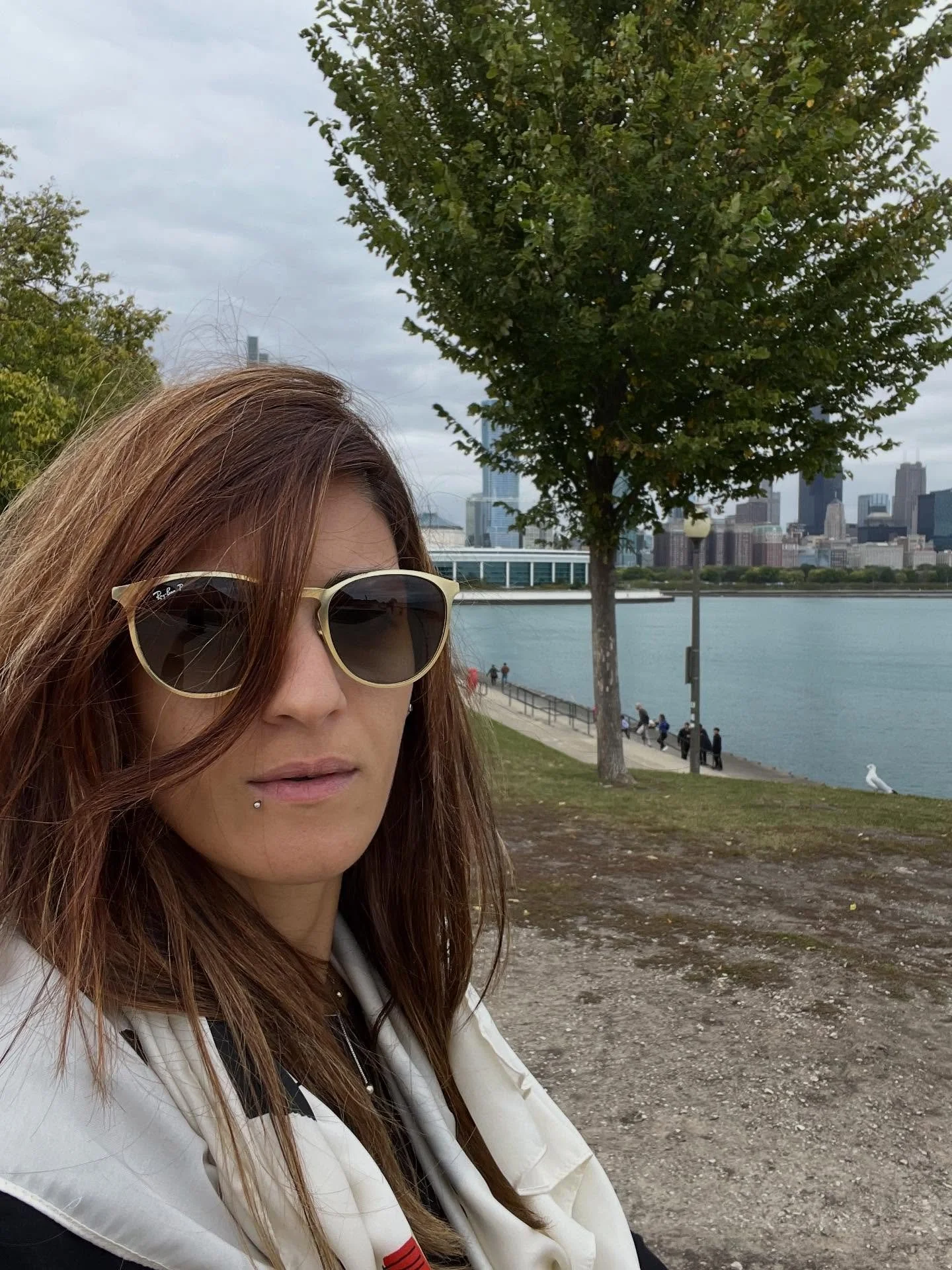 #chicago #sheddaquarium #chicagomarathon2025 #adlerplanetarium #skyline #museumcampus