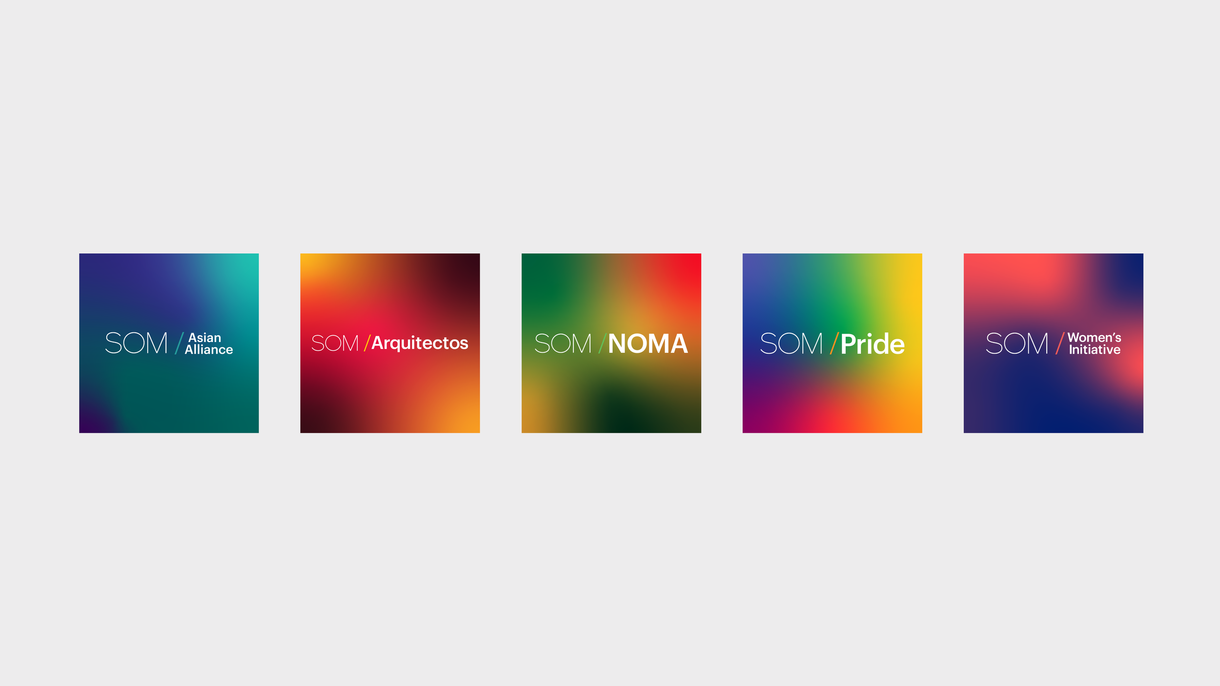 SOM ERG Graphic Standards