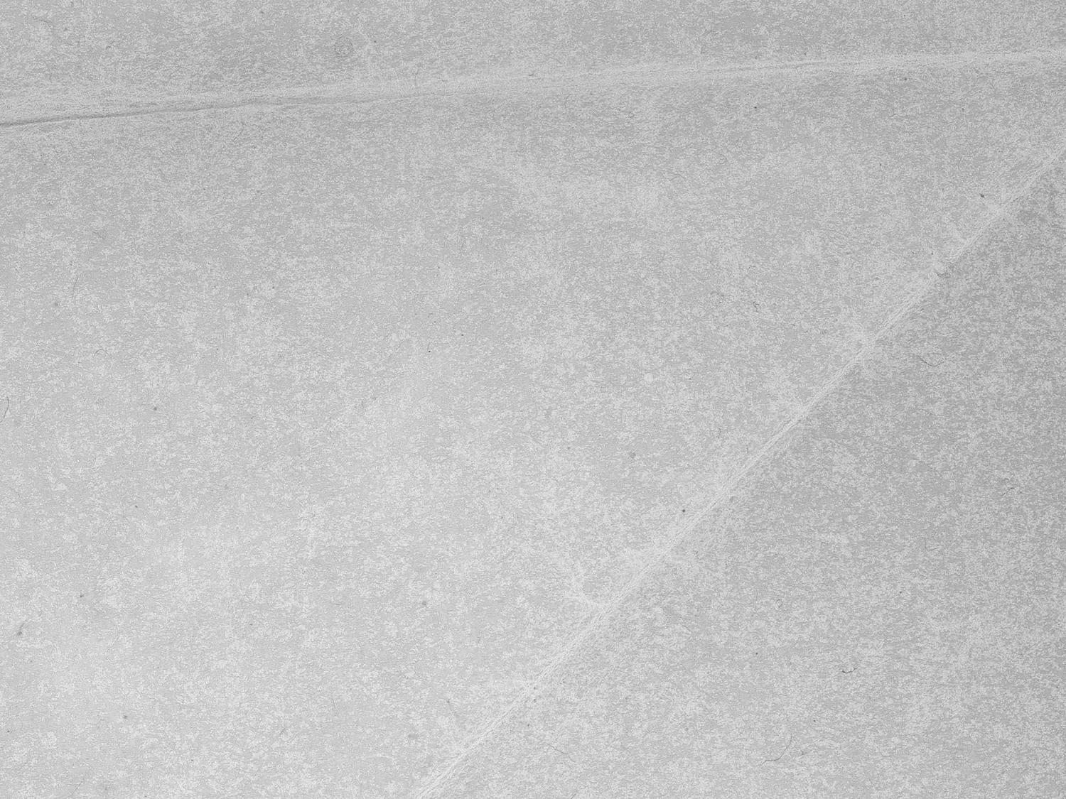 I'M GONNA MARRY YOU TOBEY MAGUIRE