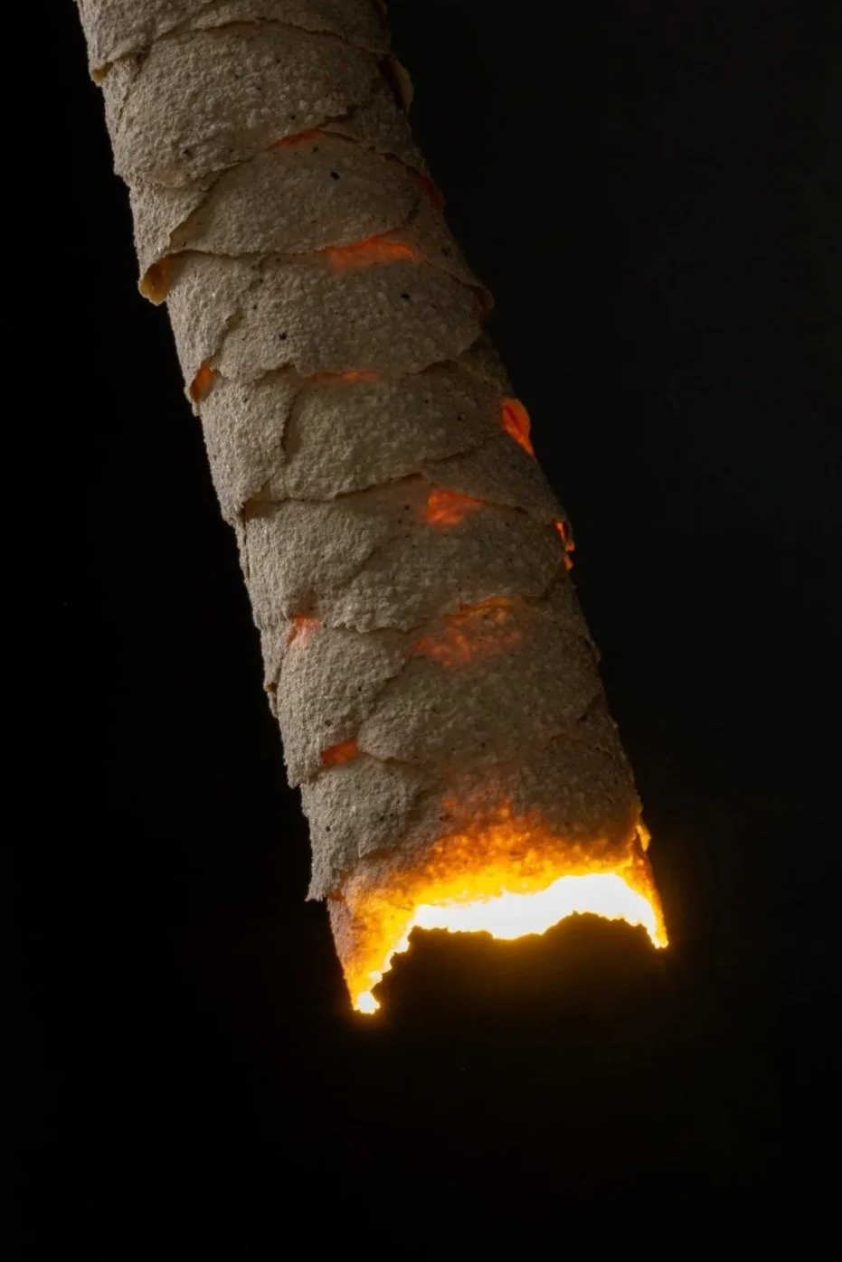 215 magill-65104.jpg