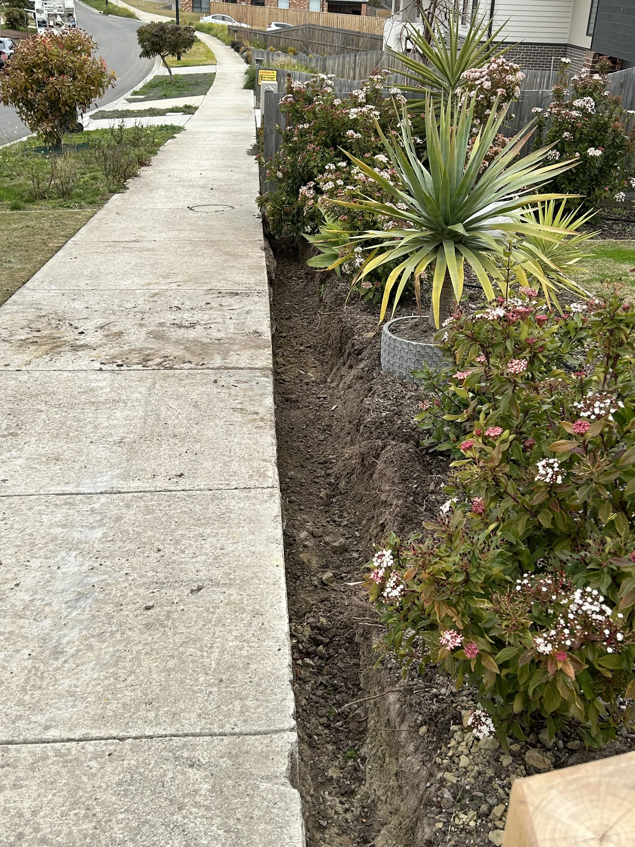Final pass along garden border—crisp edge and tidy frontage for stronger first impressions