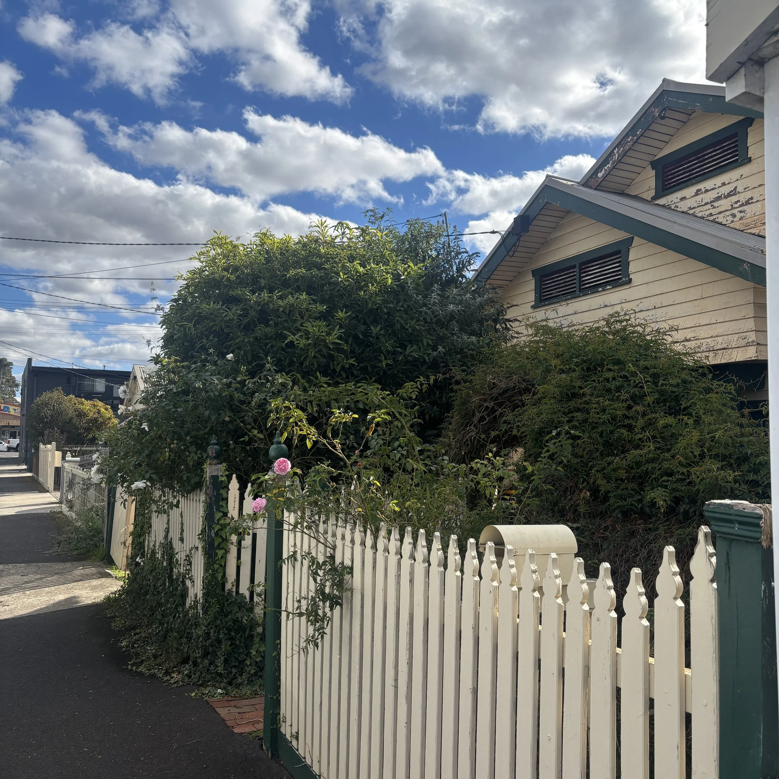 Garden clear-out before sale in Geelong—edges defined, hedges trimmed by Jamie, coordinated by Pinkerton Property Care