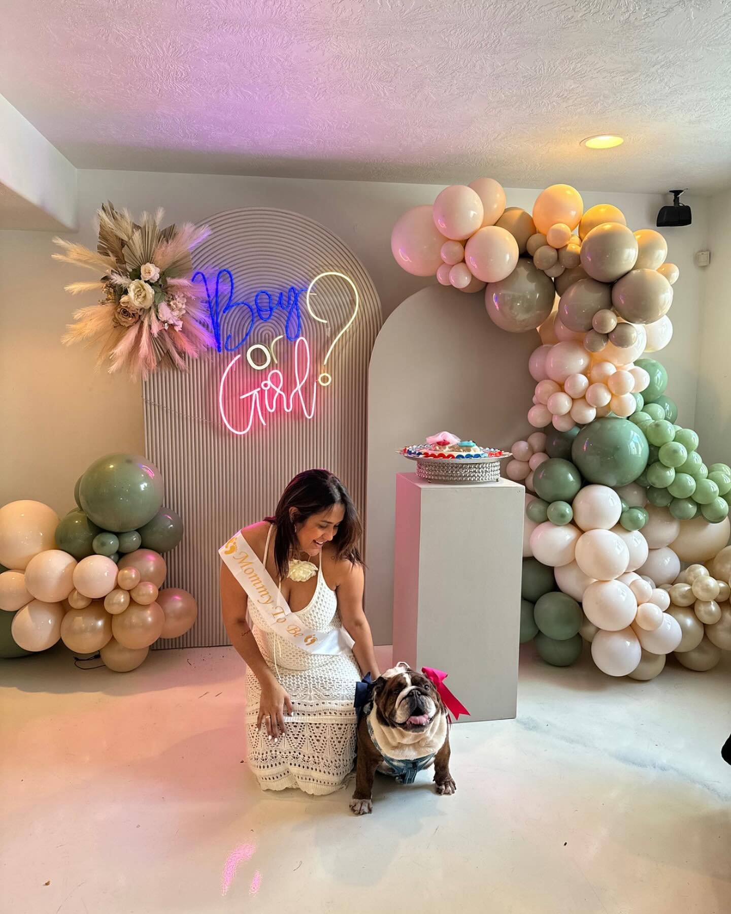 Gender Reveal party, but a good boy stole the show at the reveal with his bows 💙 🎀

#genderreveal #genderrevealparty