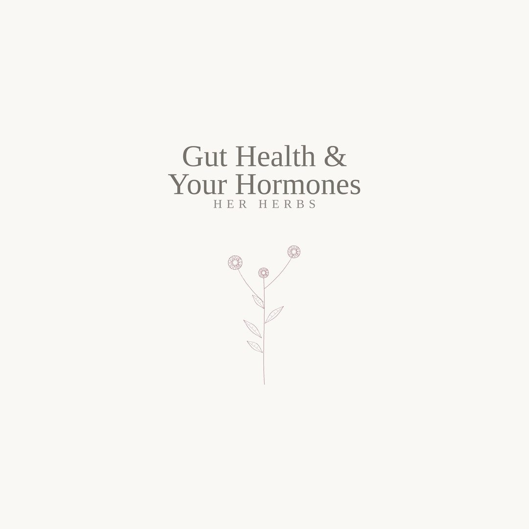 gut health 3 .jpg