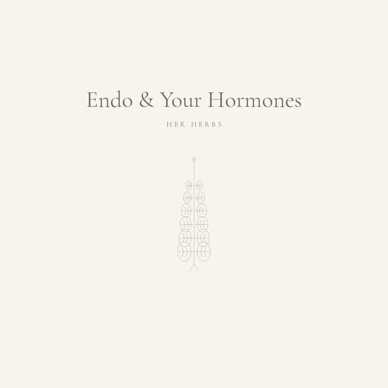 Endo and your hormones image FINAL.jpeg