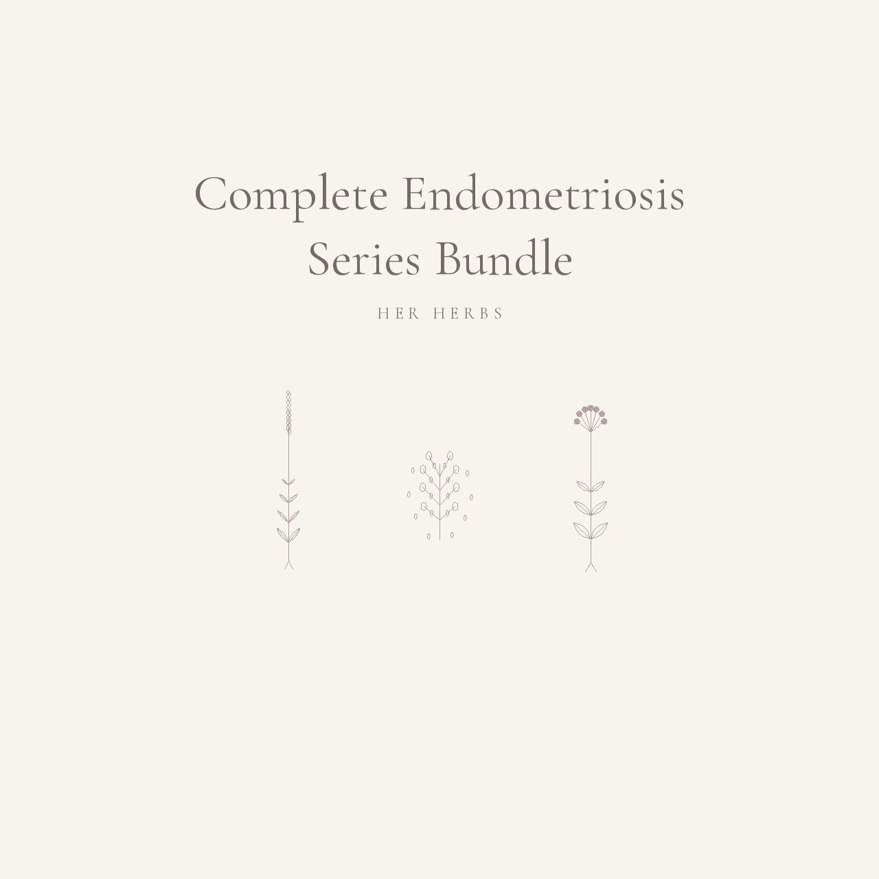 Endo Bundle FINAL image.jpeg