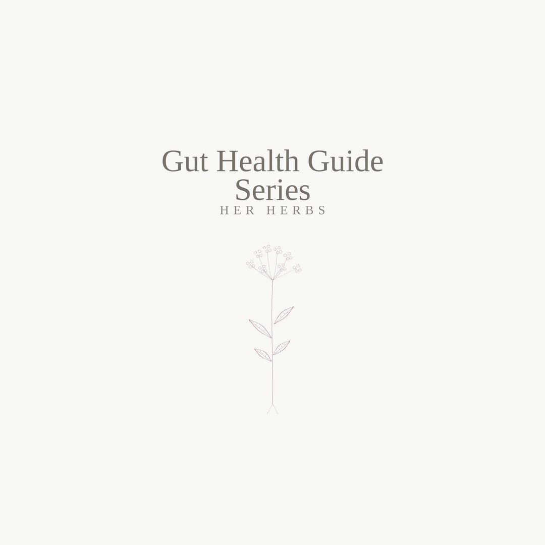 gut health guide cover .jpg