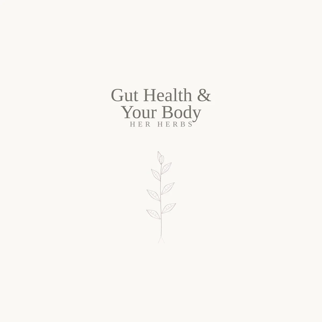 gut health 1.jpg