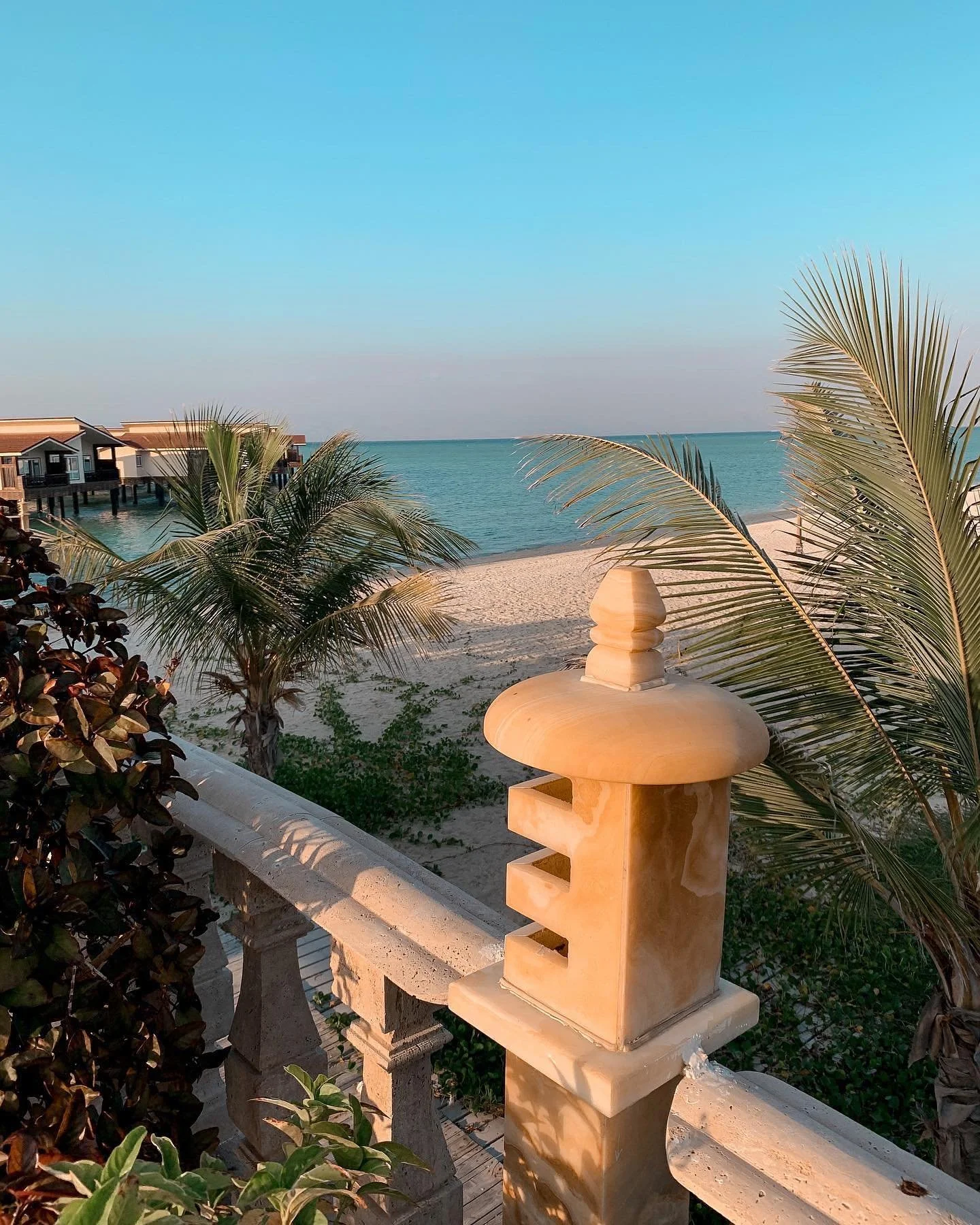 Stay lovely, Kish🌿🌅