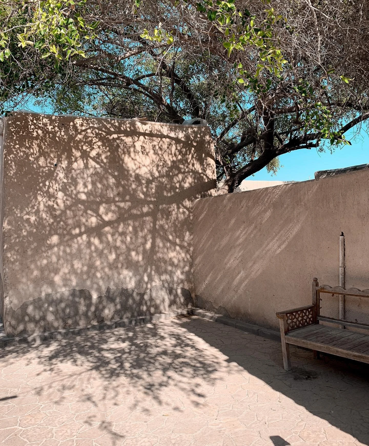 Absolute peace of mind.