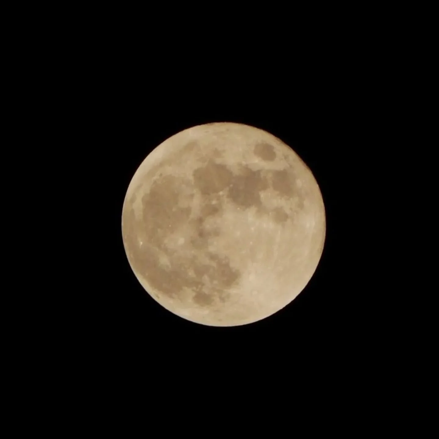 FULLMOON

3. Marzo 2026

Luna della quaresima

Particolarit&agrave;: la luna piena coincide con l'eclisse lunare totale, che tuttavia non era visibile in Svizzera n&eacute; in nessun'altra parte d'Europa

#moon #fullmoon
