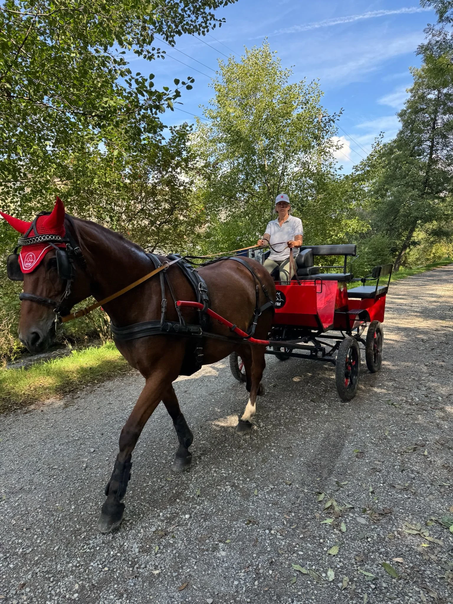 Melanie siede su una carrozza trainata da Cleo in un ambiente tra le campagne di Stabio e del Mendrisiotto