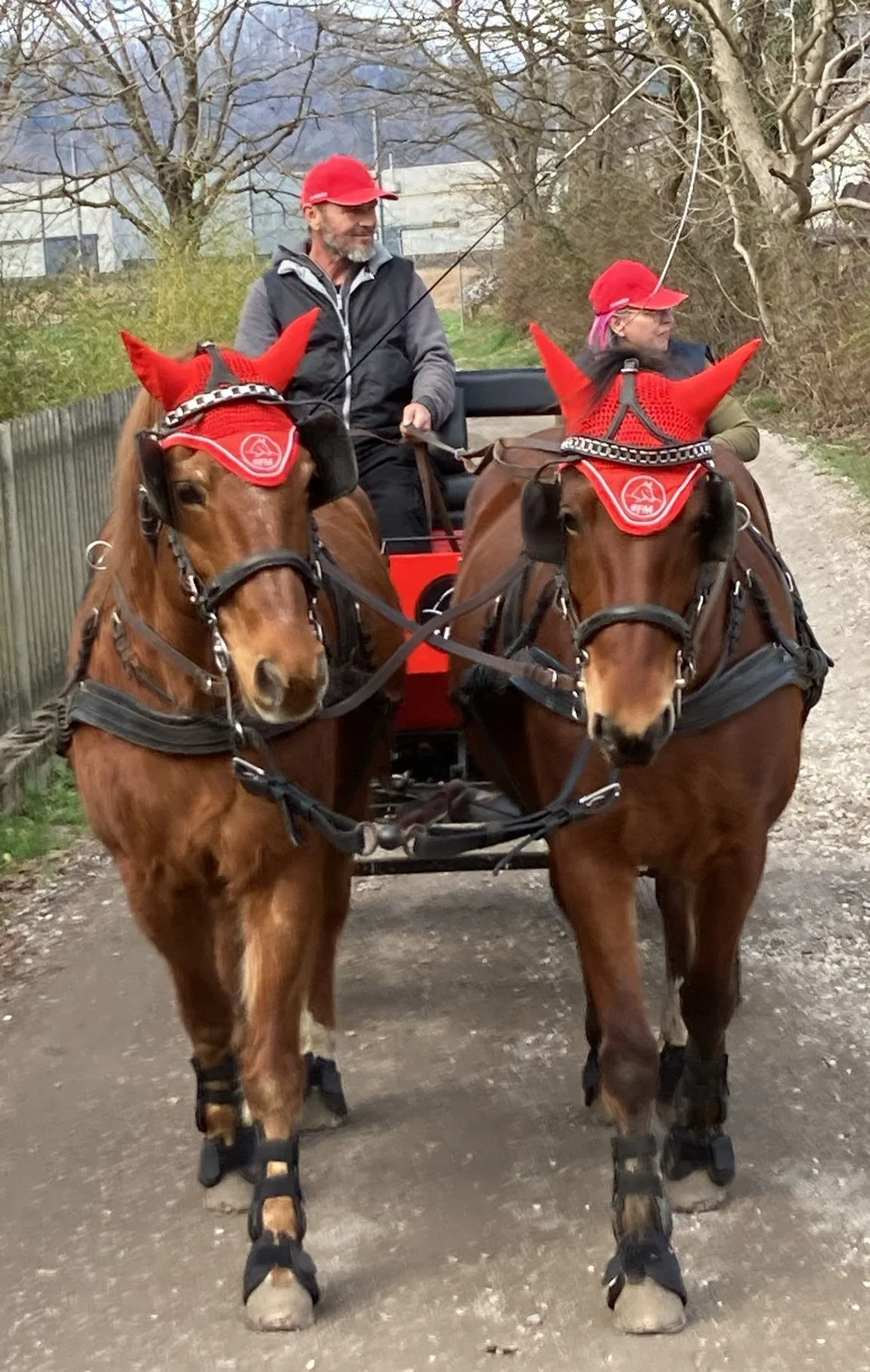 in carrozza a Stabio