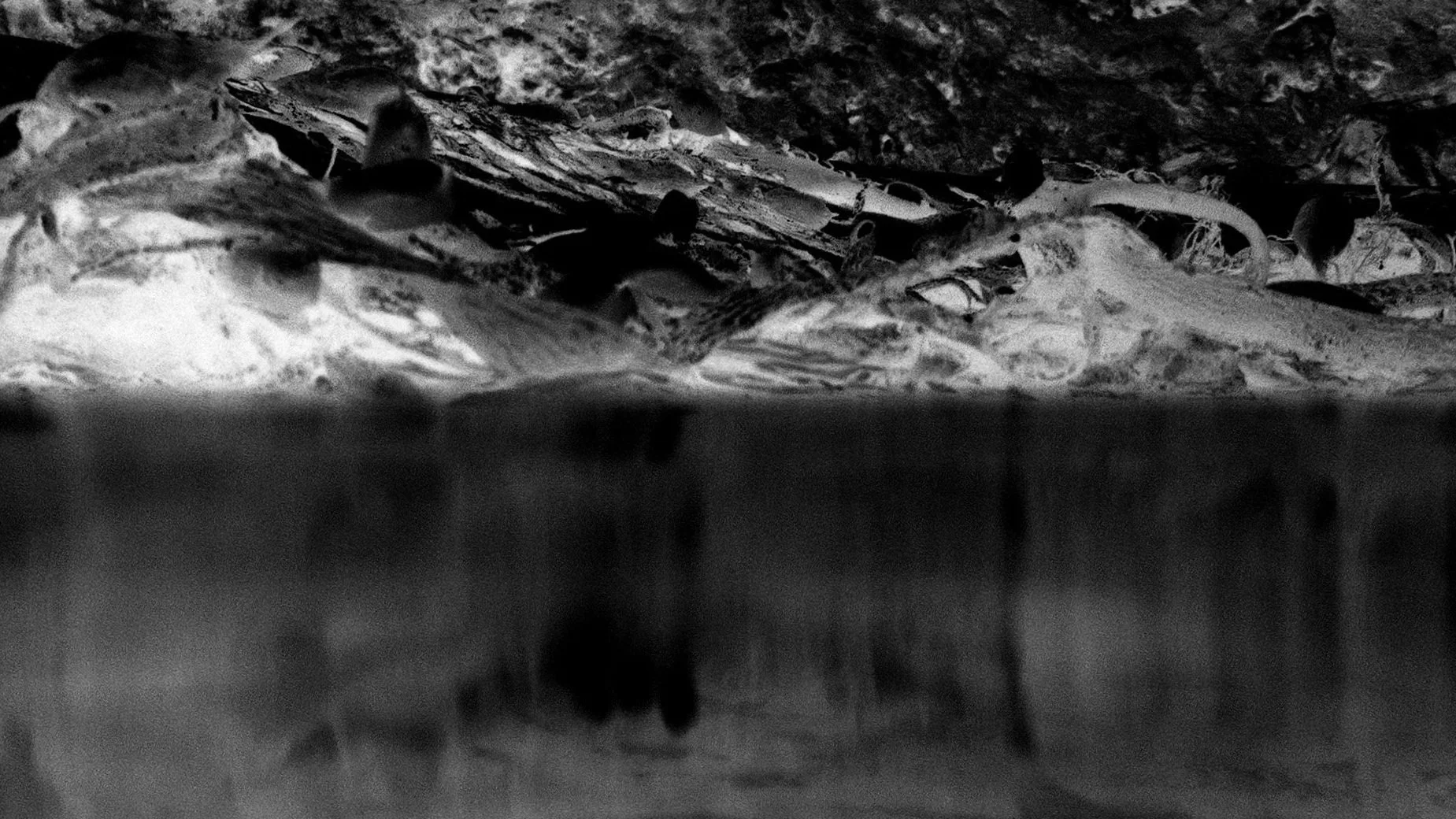 underwater.jpg