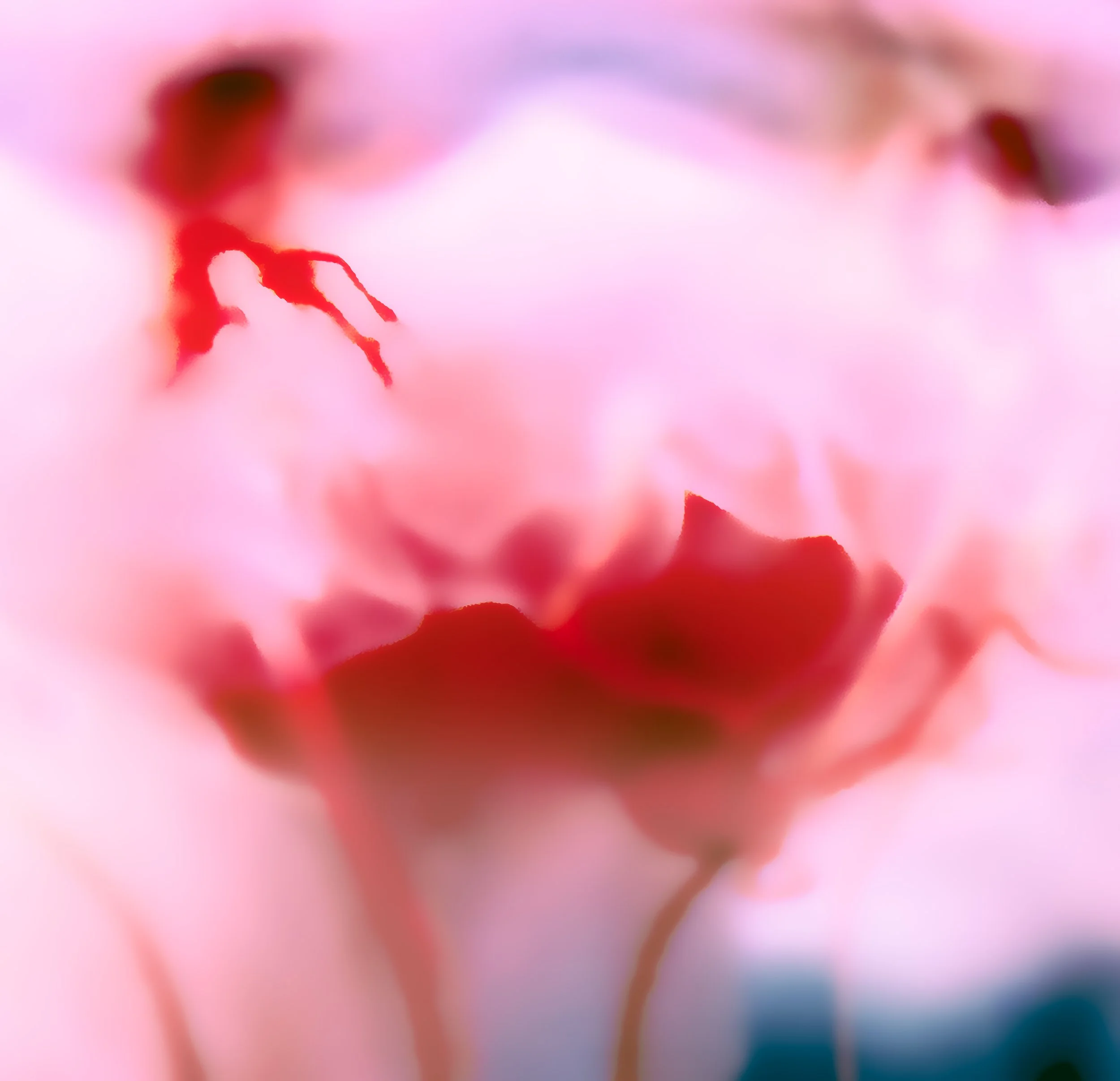 L1000917 cropA-2.jpg