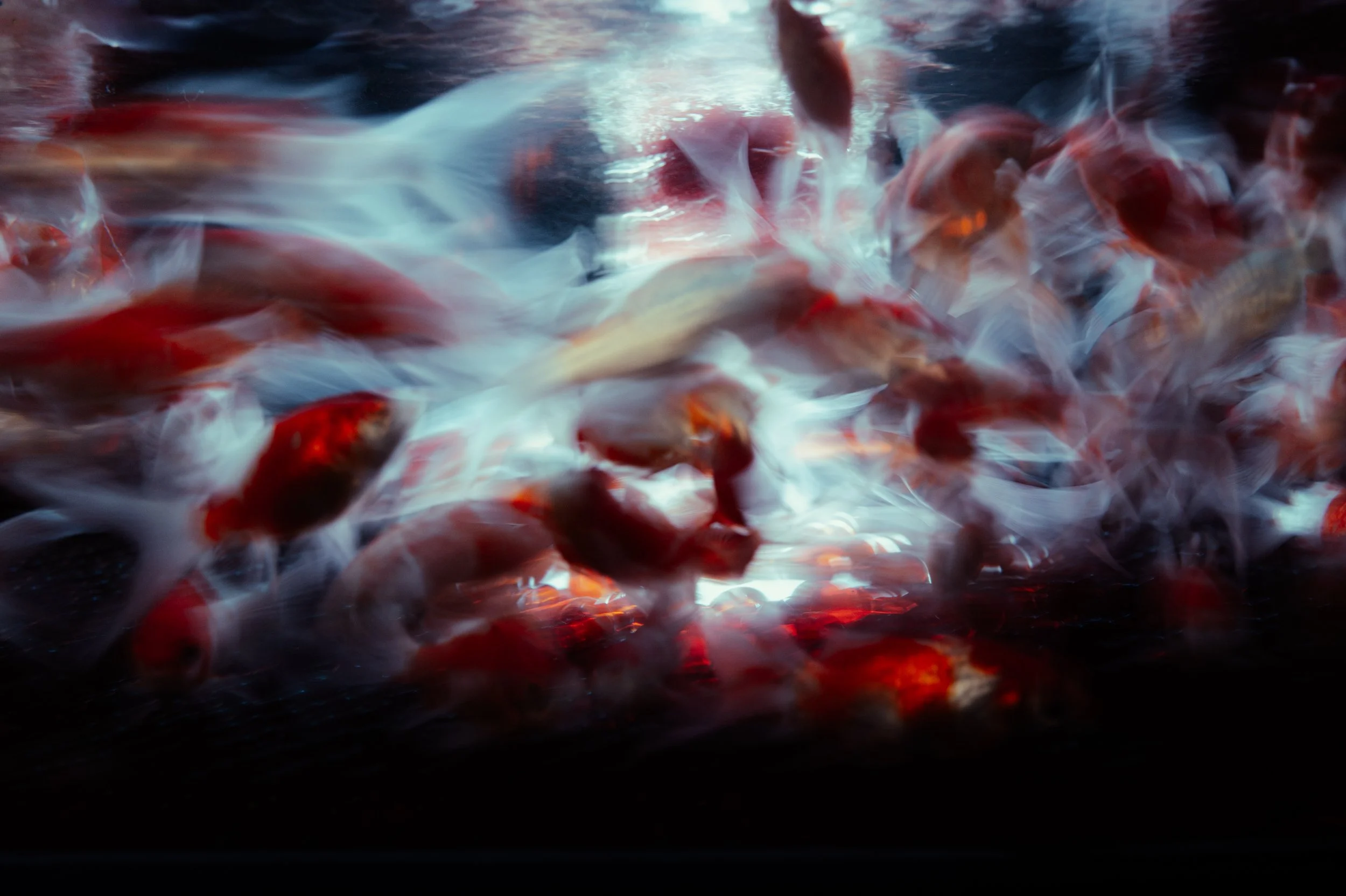 L1010840.jpg