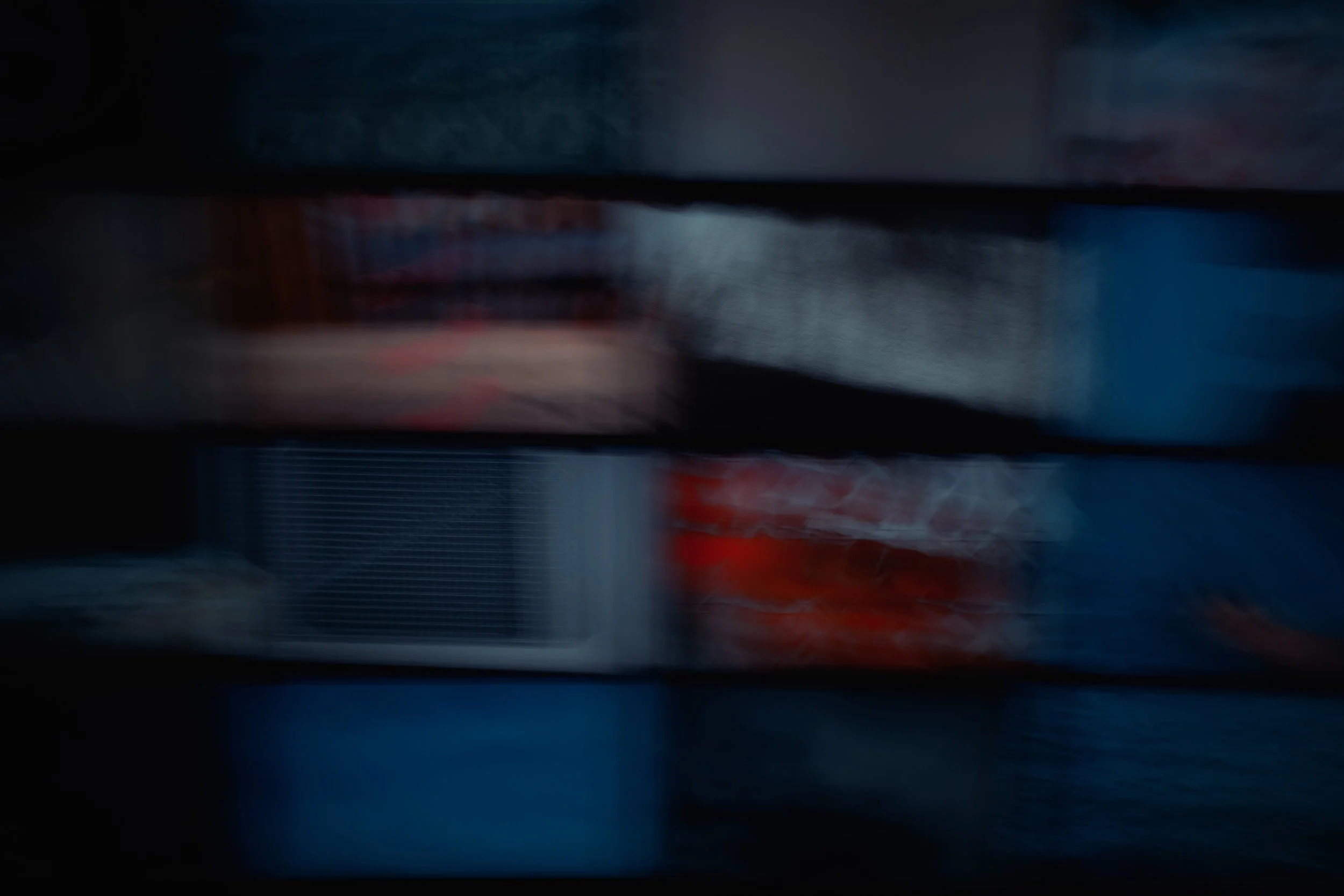 R0000770 copy.jpg