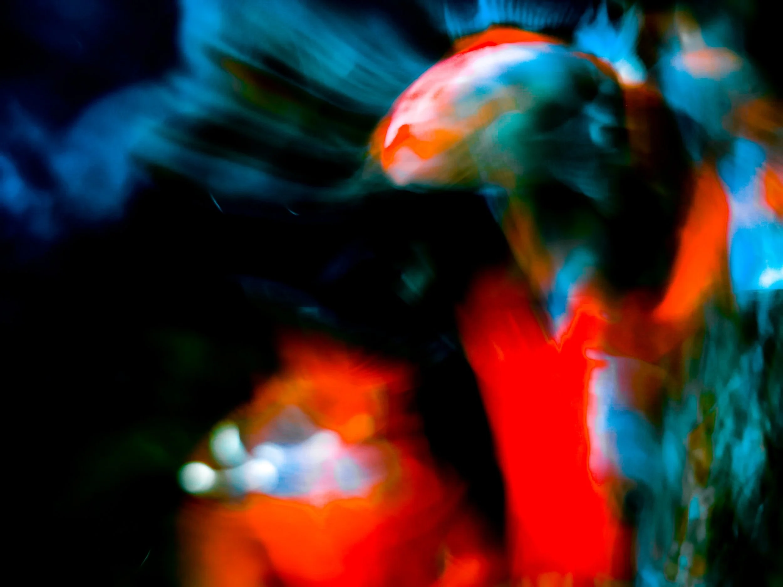 20260927_131015.jpg