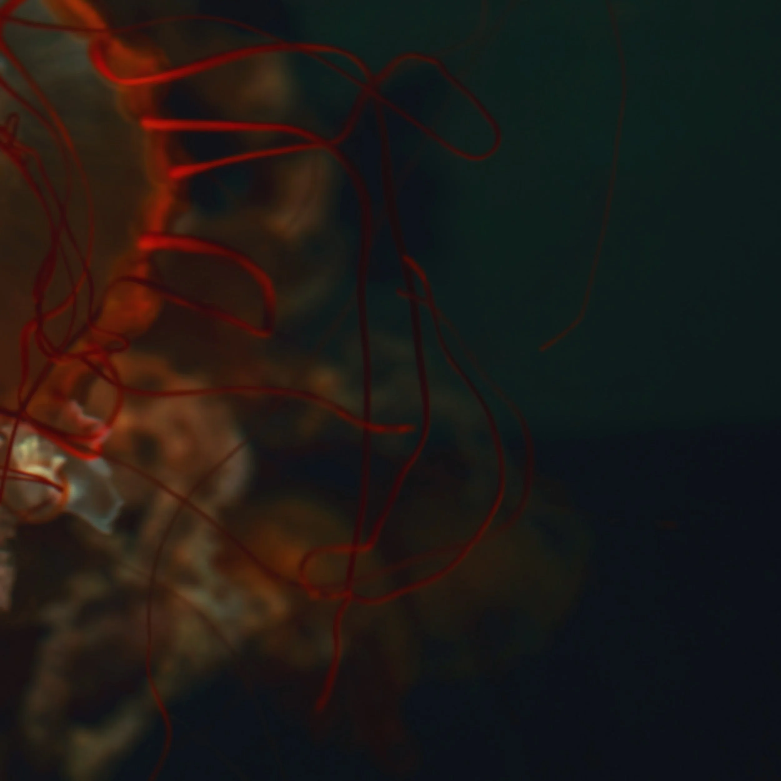 L1000658 master-Recovered.jpg