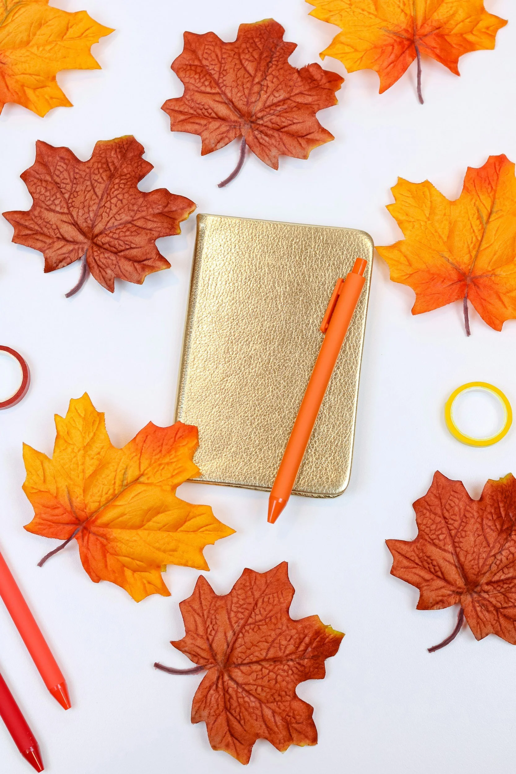 Vision & Vinyasa: Fall Yoga + Journaling in the Park