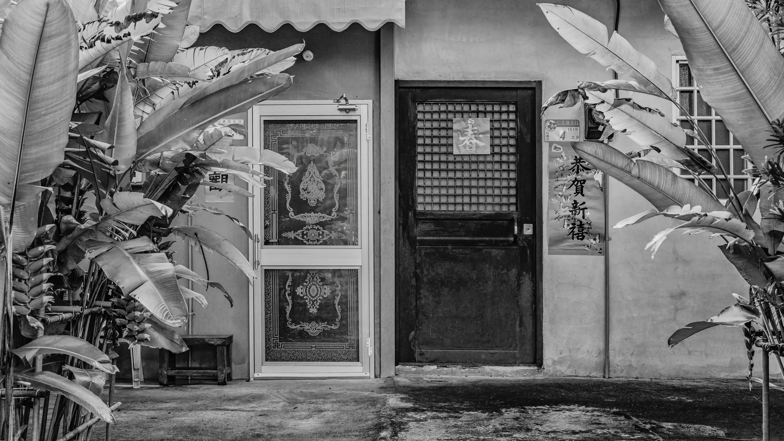 Black and white photo of a house entrance with two doors: a glass door on the left with decorative design and a wooden door on the right, surrounded by large leafy plants.