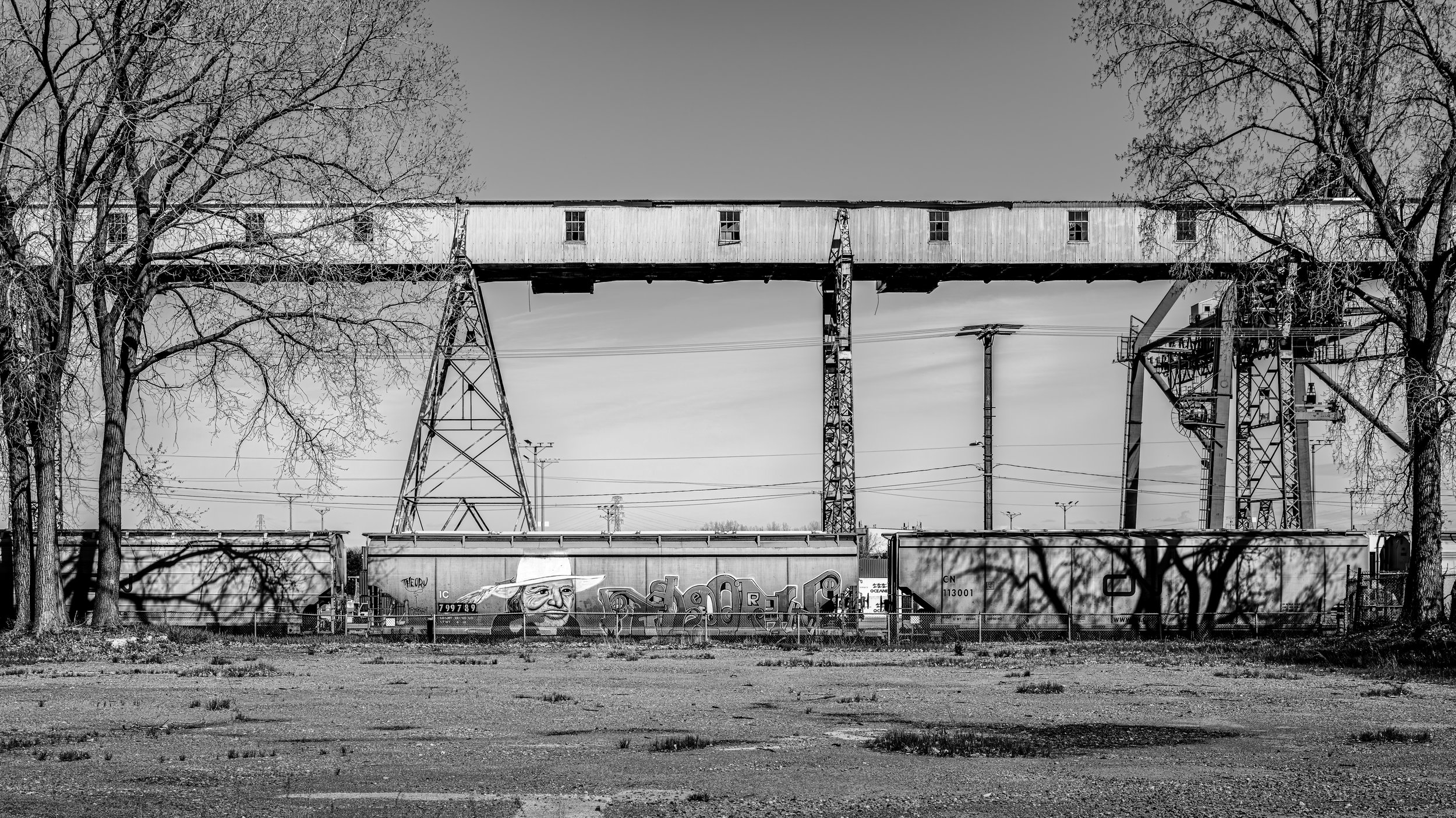 Black and white photo of railroad bridge with trees on either side, a graffitied train car below, and utility poles in the background.