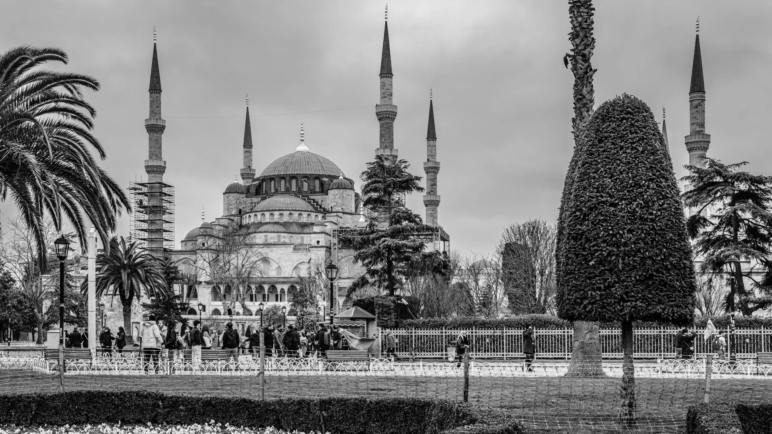 Black and white photo of the Blue Mosque in Istanbul, Turkey, with tall minarets, palm trees, and people walking in a park in the foreground.