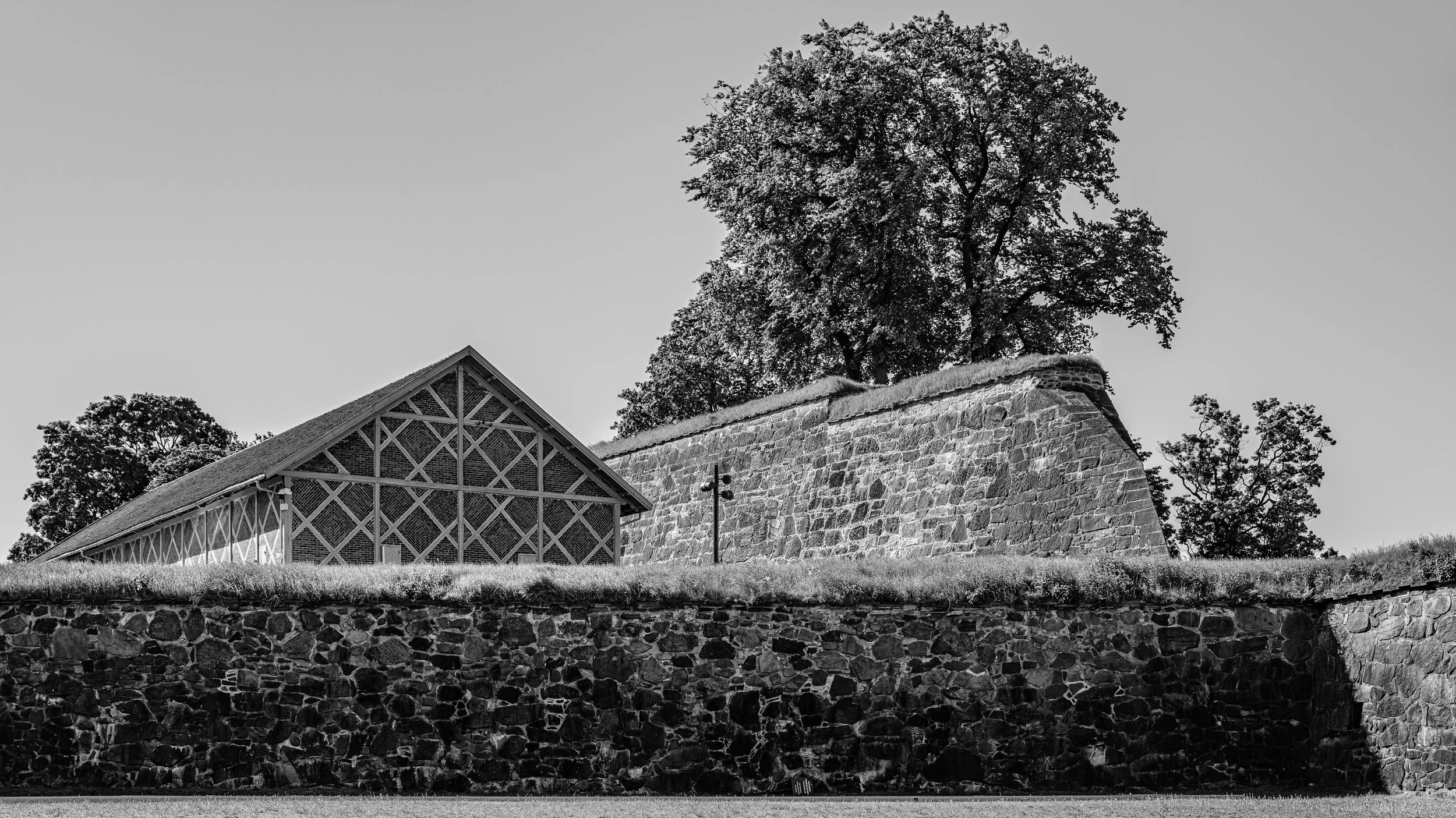 Black and white photo of a historical stone wall with a large tree growing atop it. Next to the wall is a modern building with a pitched roof and a decorative wooden structure on one side.